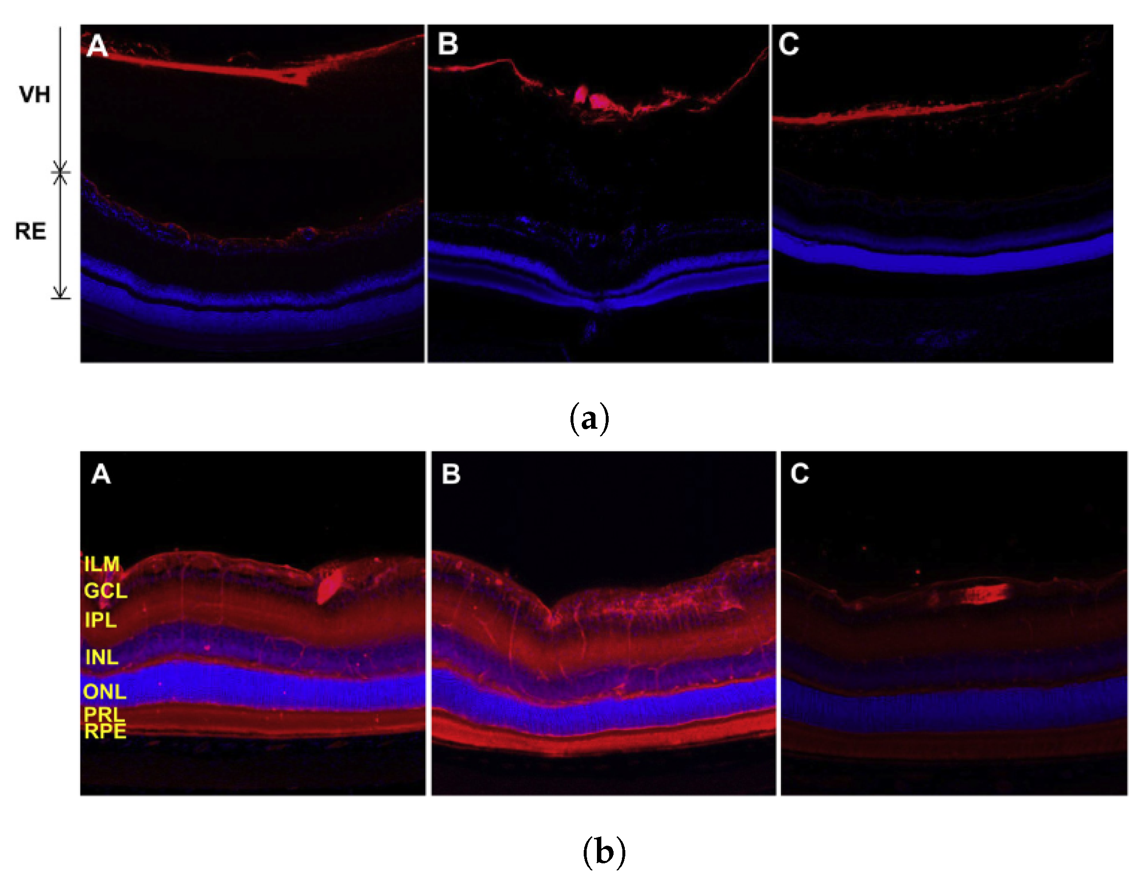 Micromachines 14 01575 g006 Micromachines 14 01575 g006