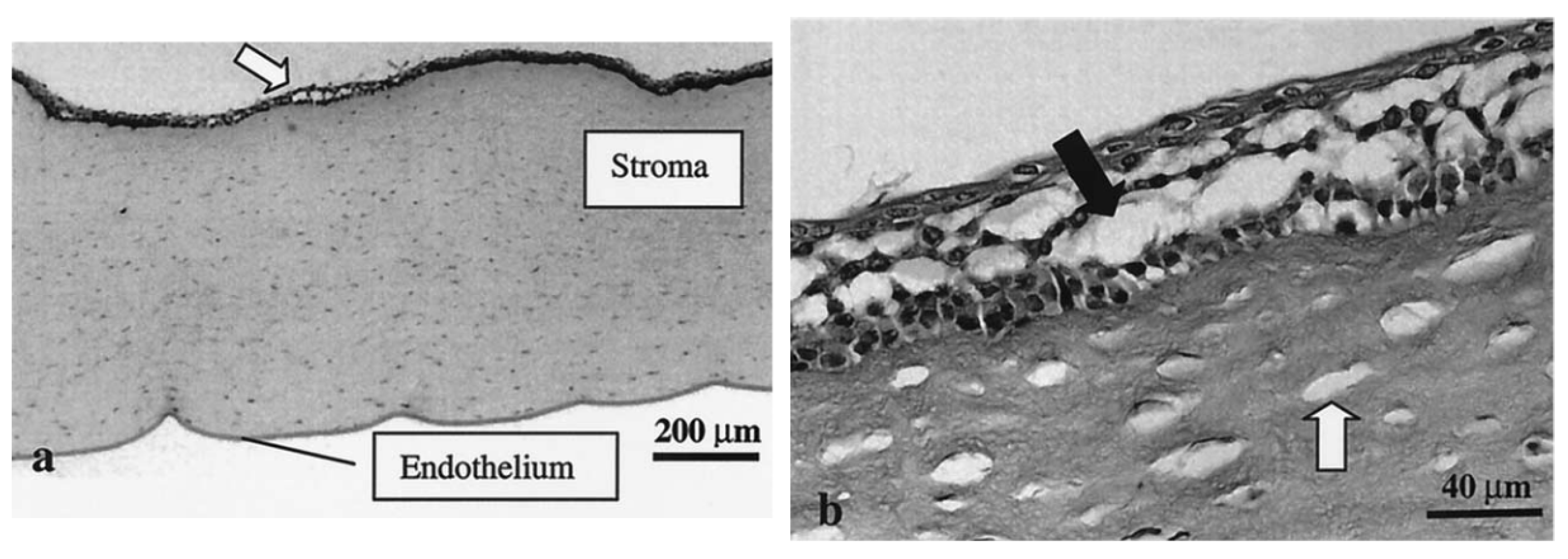 Micromachines 14 01575 g009 Micromachines 14 01575 g009