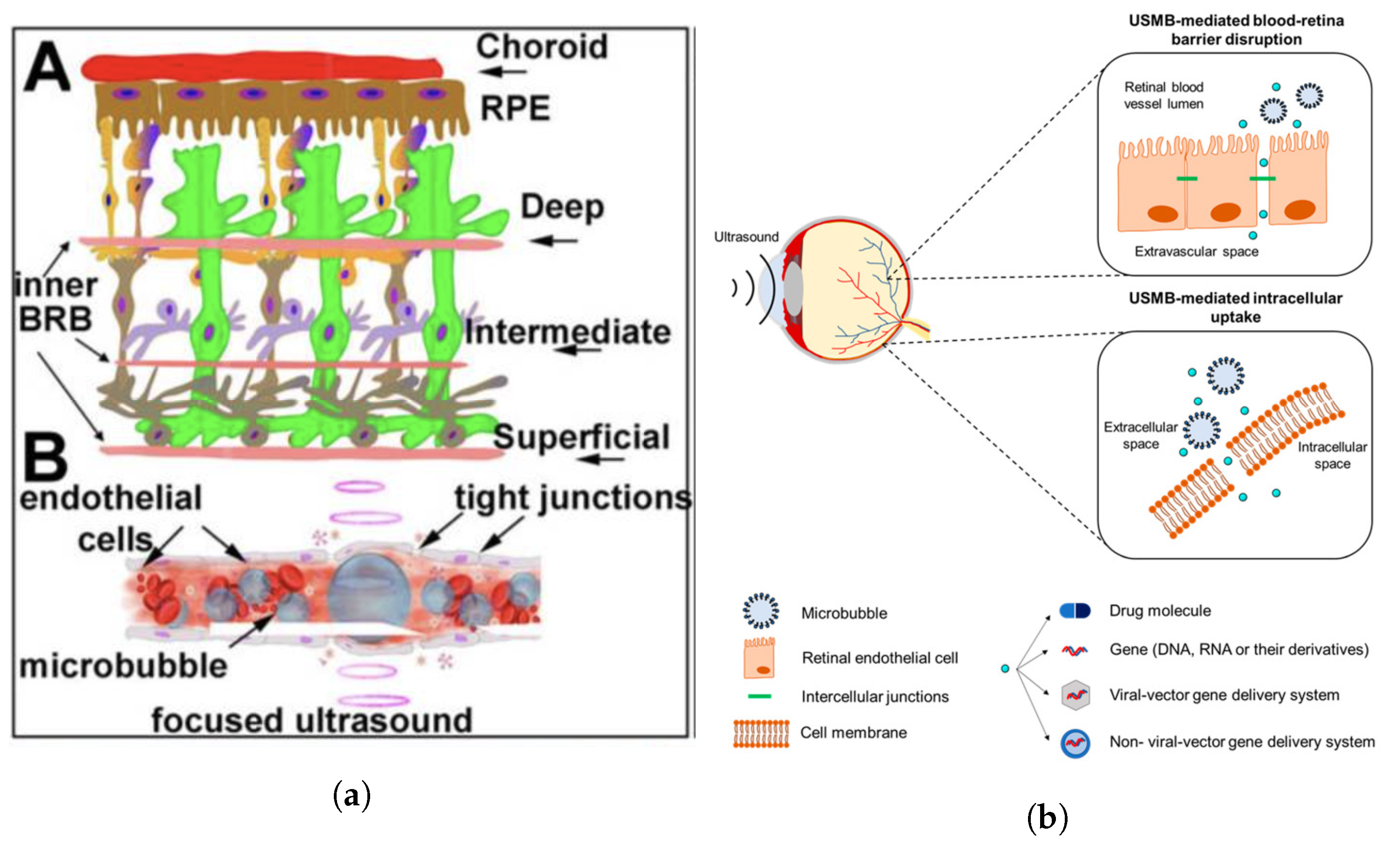Micromachines 14 01575 g010 Micromachines 14 01575 g010
