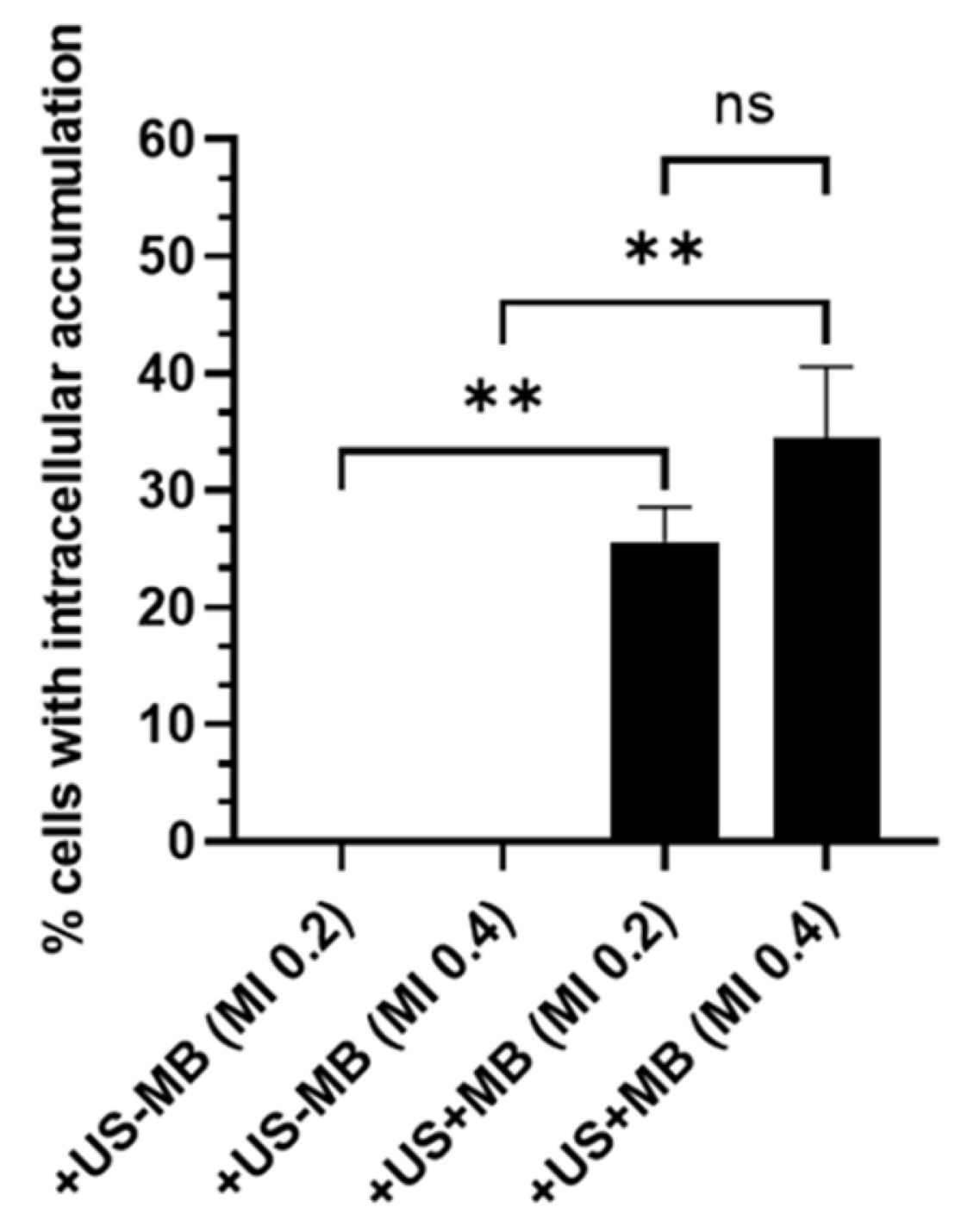 Micromachines 14 01575 g014 Micromachines 14 01575 g014