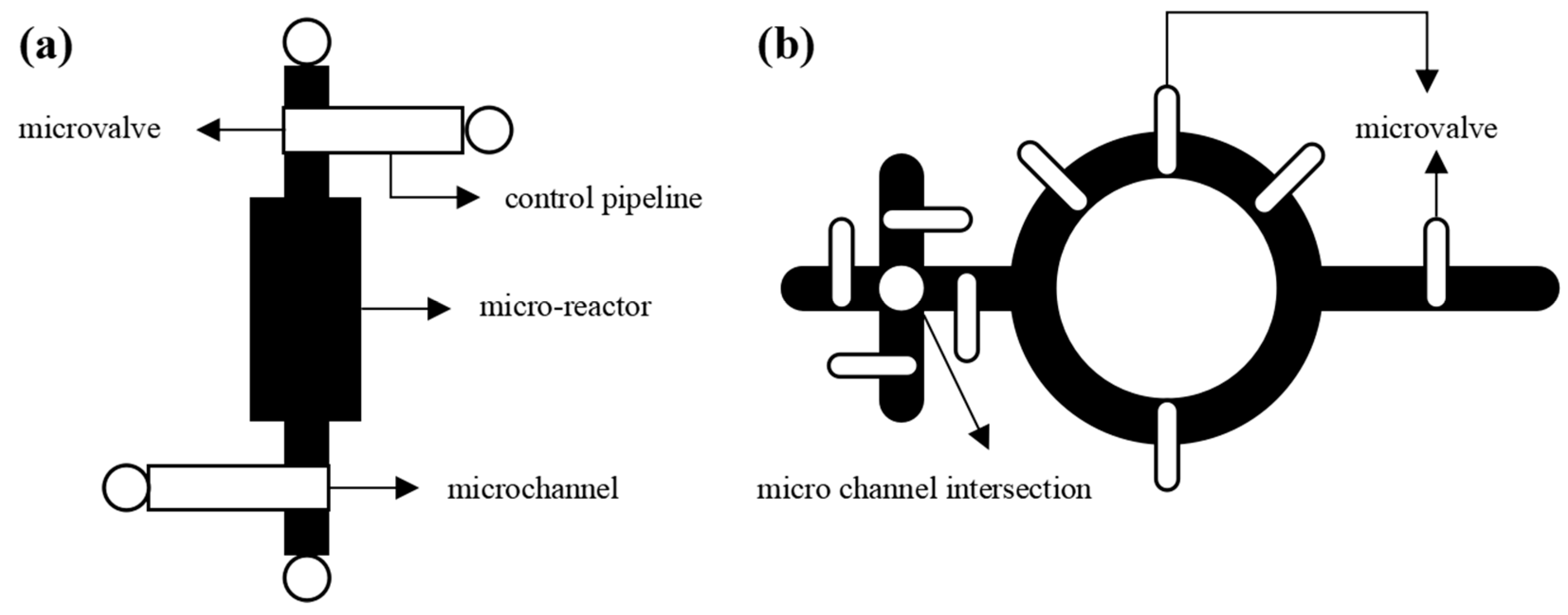 Micromachines 14 01577 g001