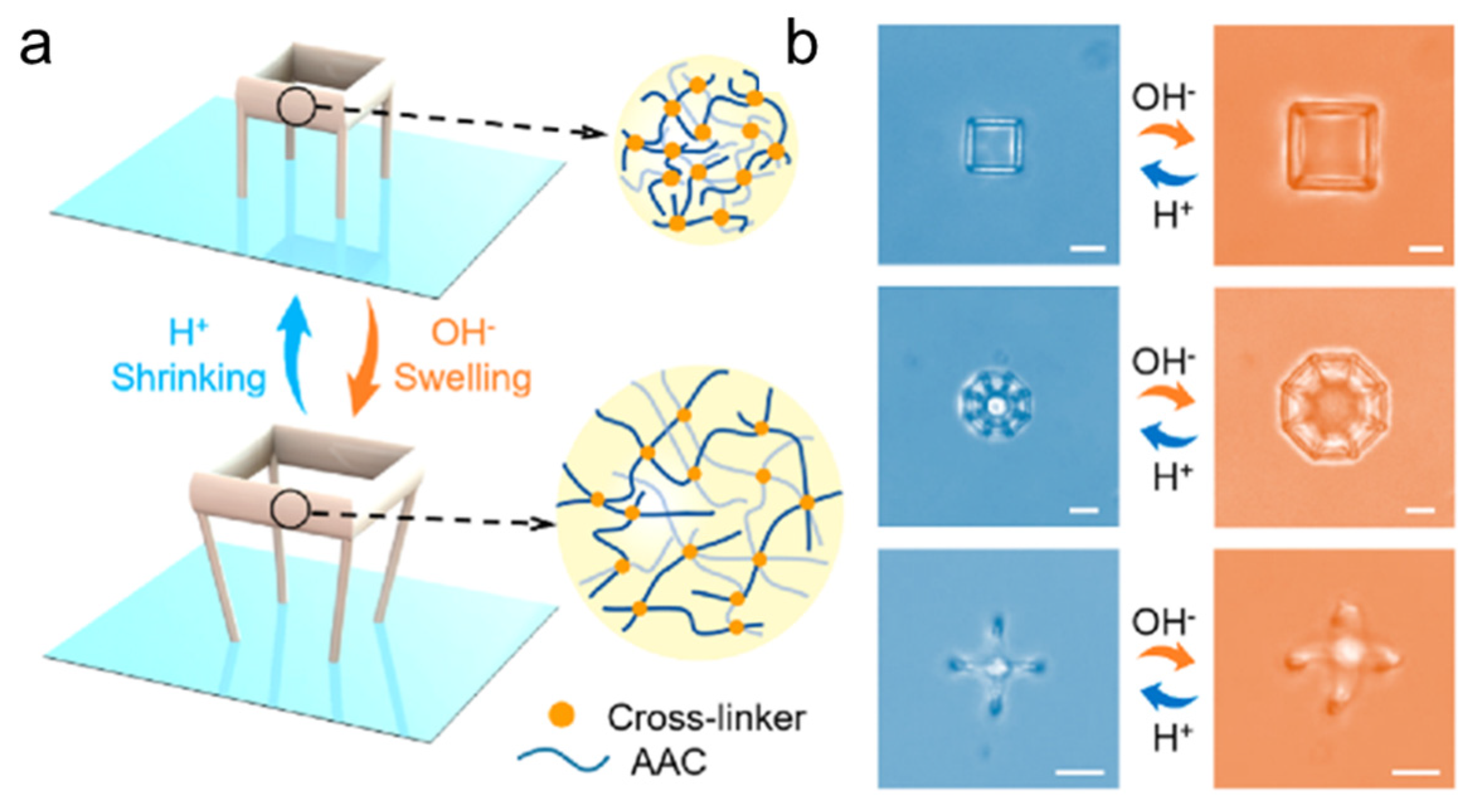 Micromachines 14 01607 g004 Micromachines 14 01607 g004