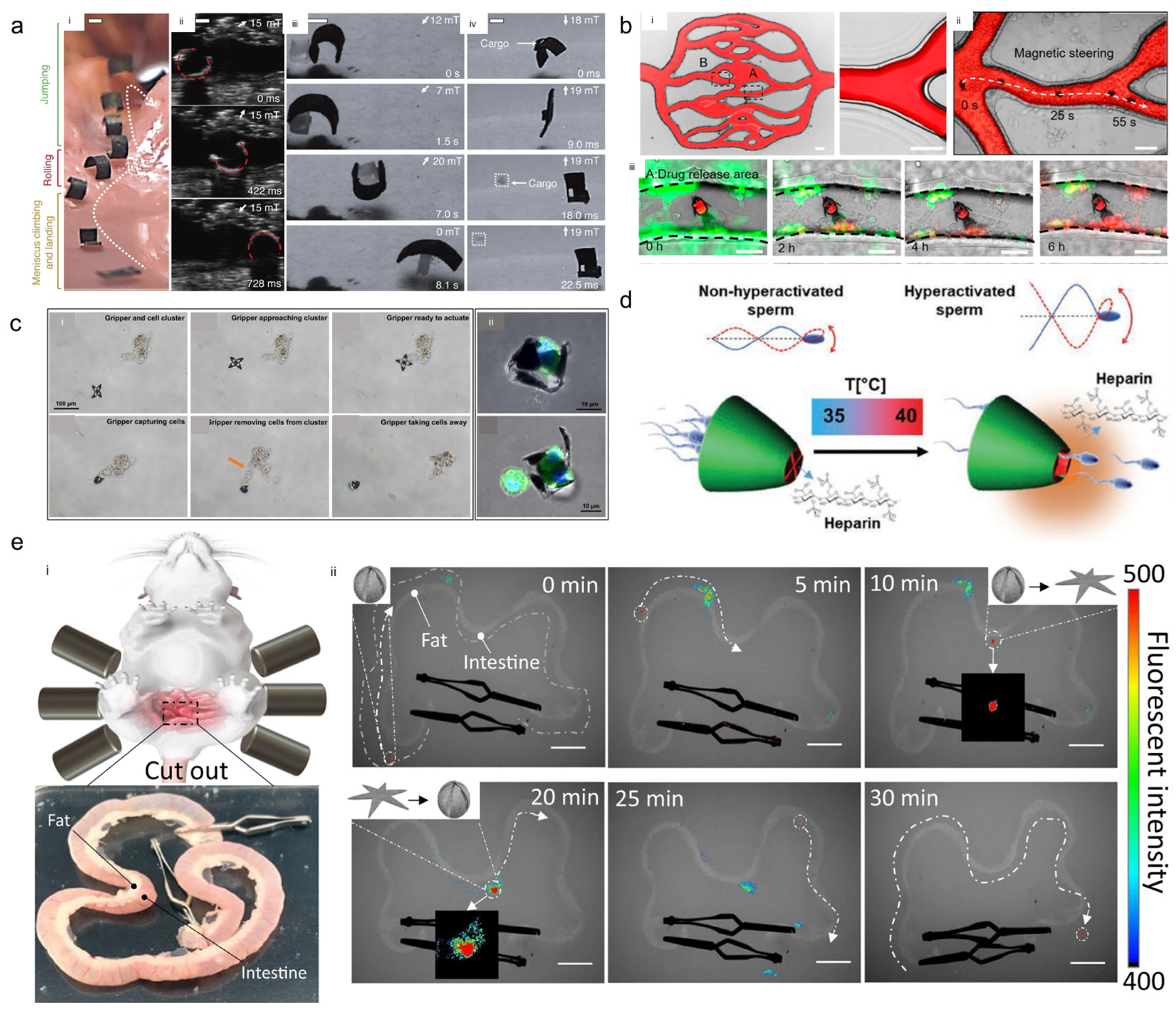 Micromachines 14 01607 g007 Micromachines 14 01607 g007