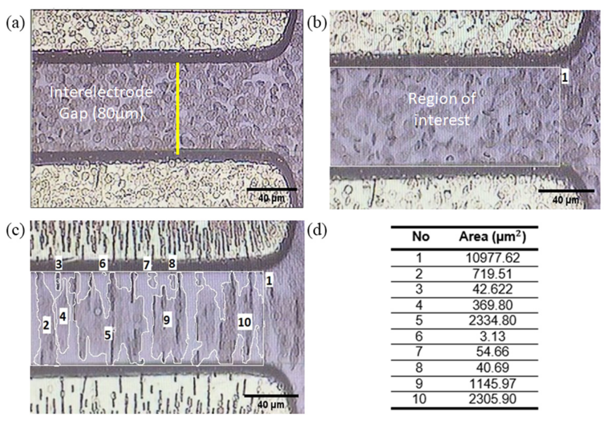 Micromachines 14 01625 g004 Micromachines 14 01625 g004