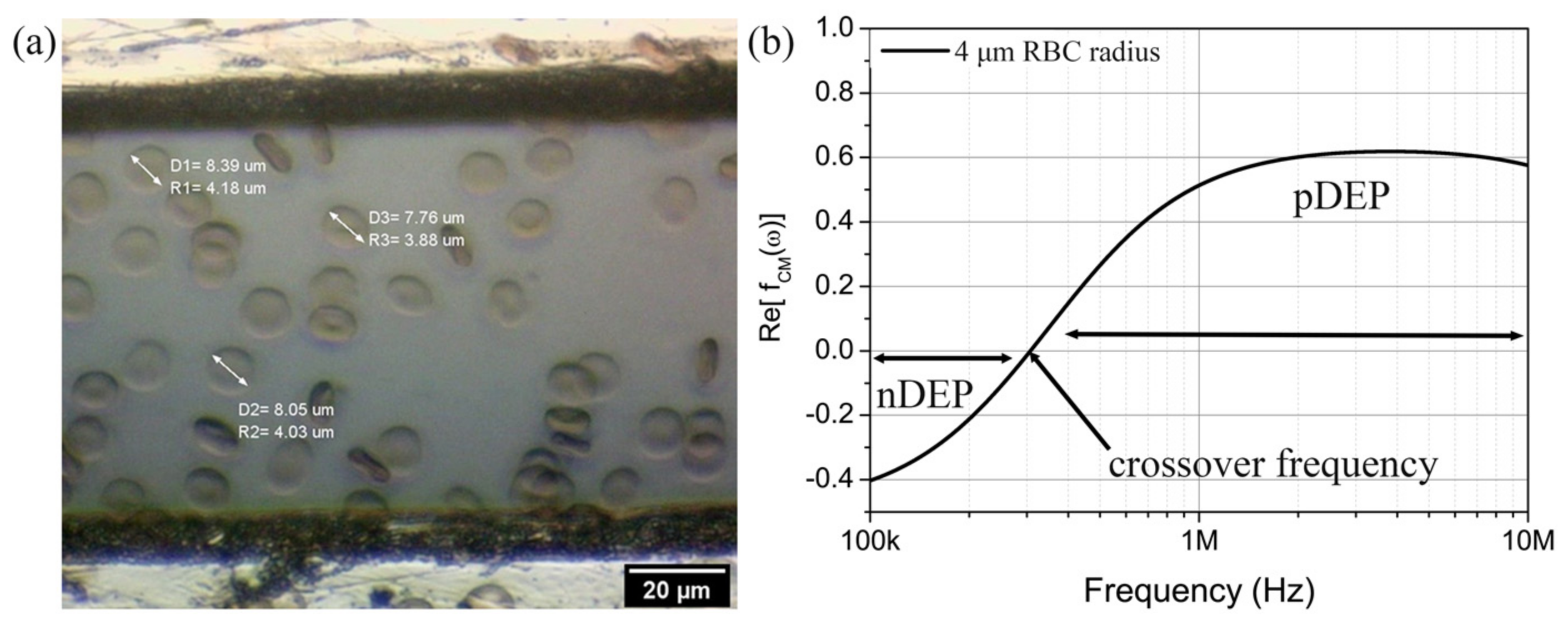 Micromachines 14 01625 g005 Micromachines 14 01625 g005