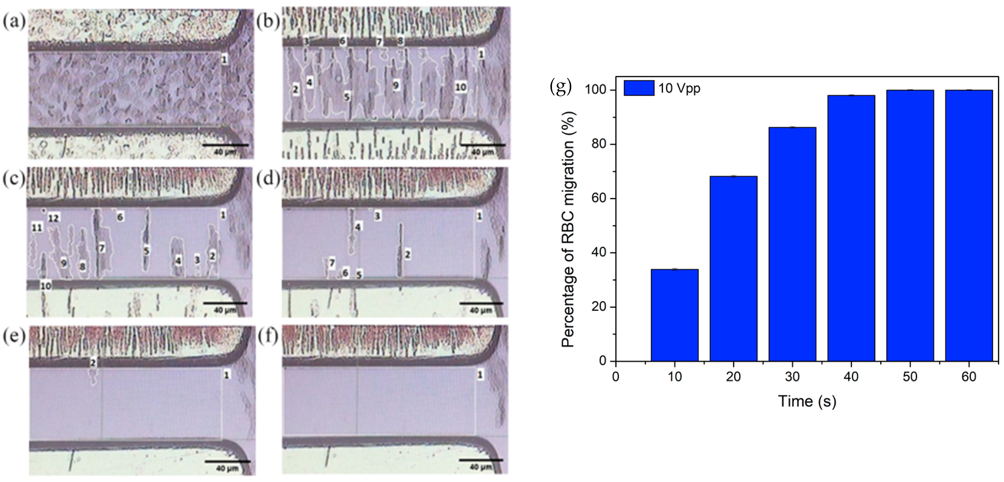 Micromachines 14 01625 g006 Micromachines 14 01625 g006