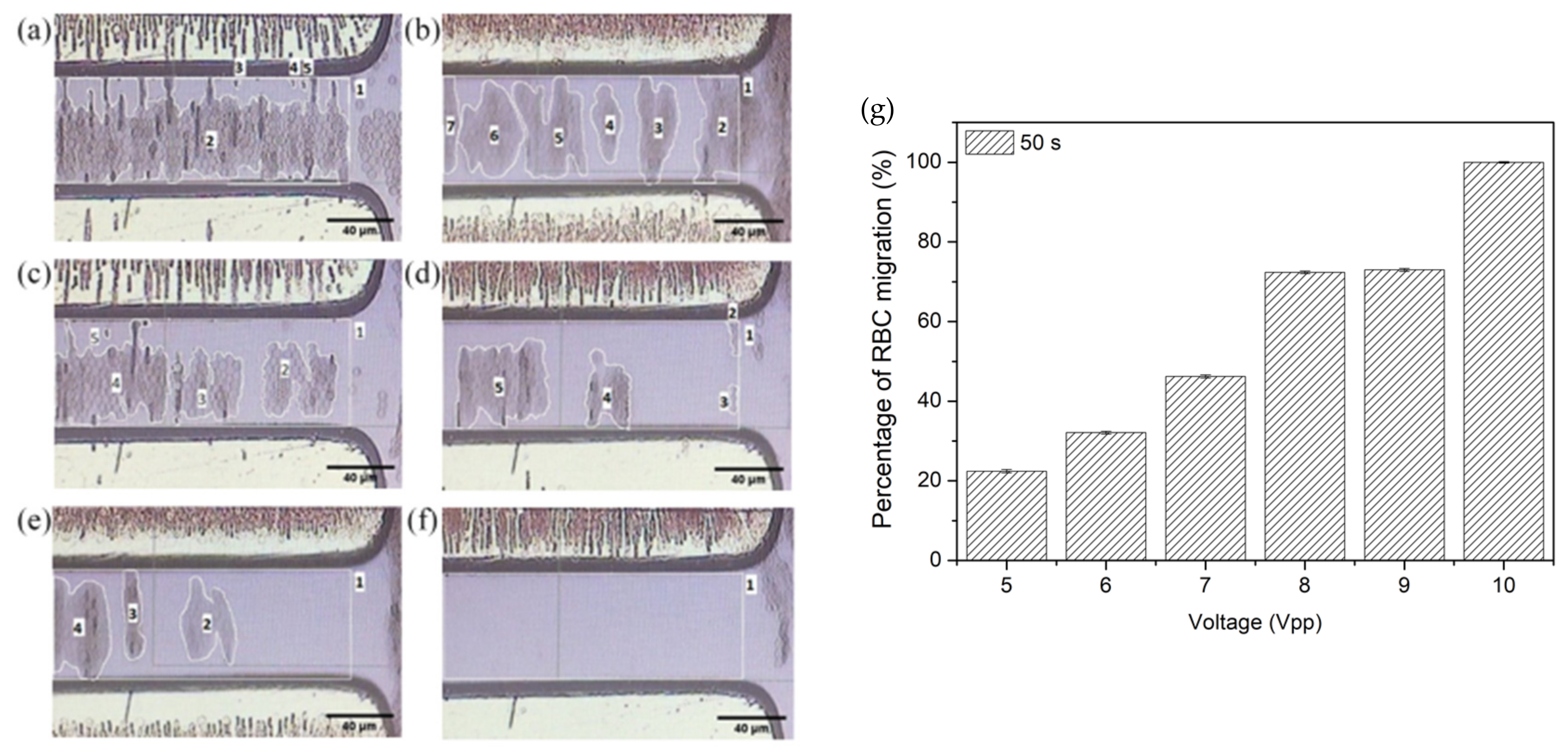 Micromachines 14 01625 g007 Micromachines 14 01625 g007