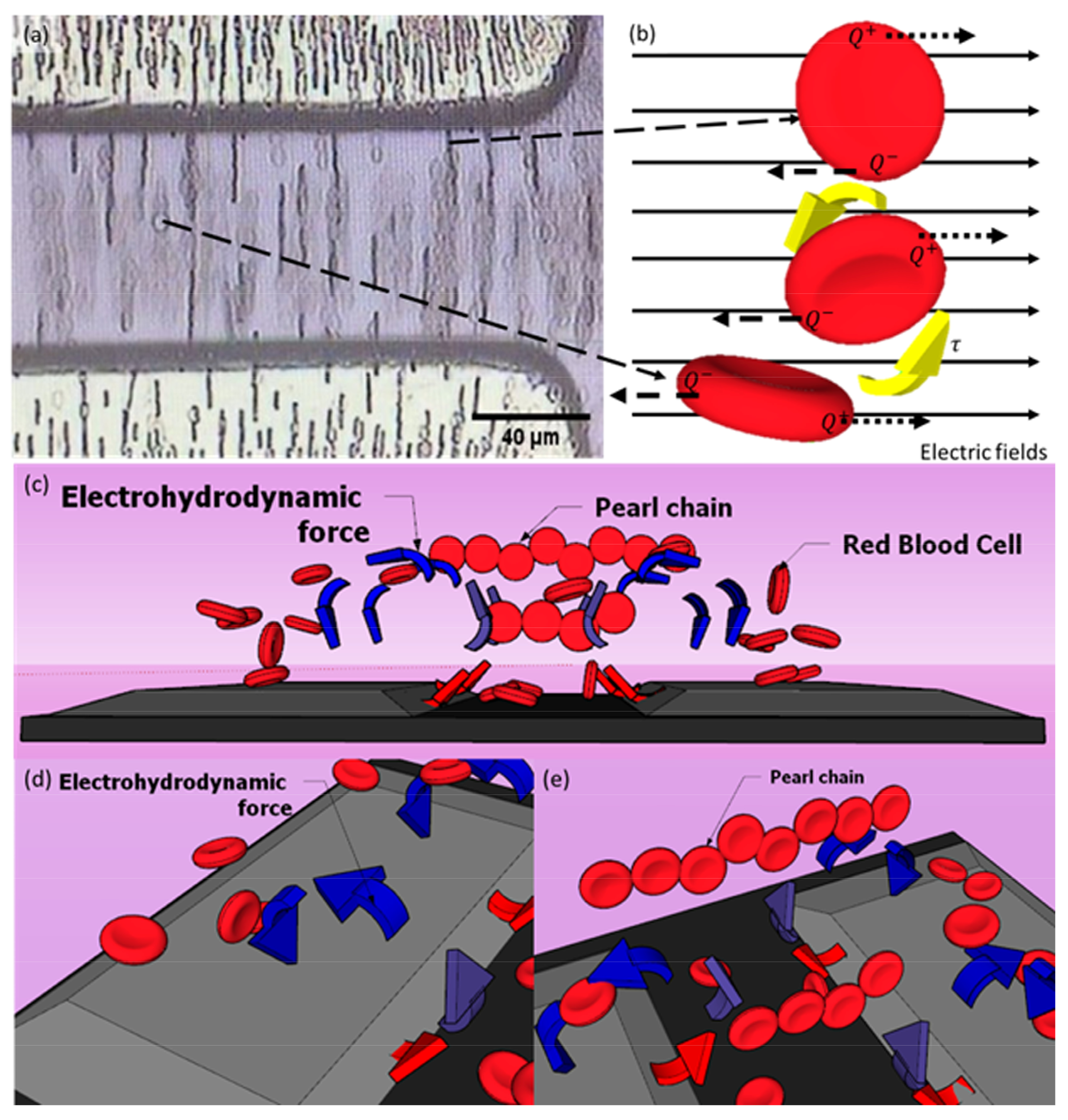 Micromachines 14 01625 g008 Micromachines 14 01625 g008