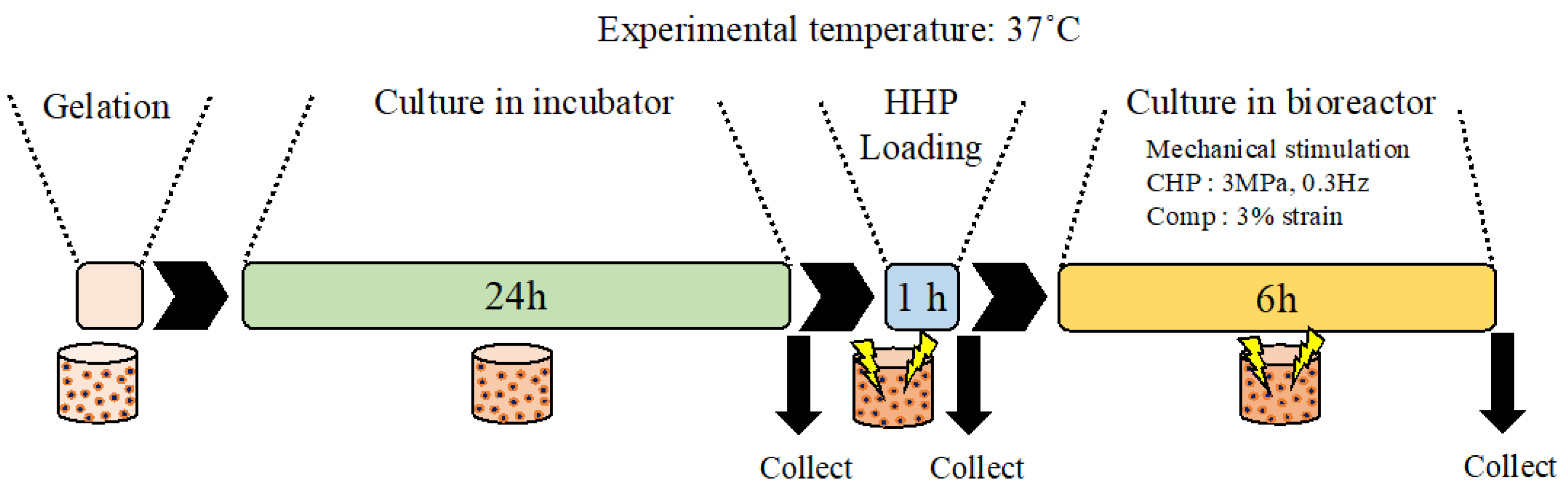 Micromachines 14 01632 g002