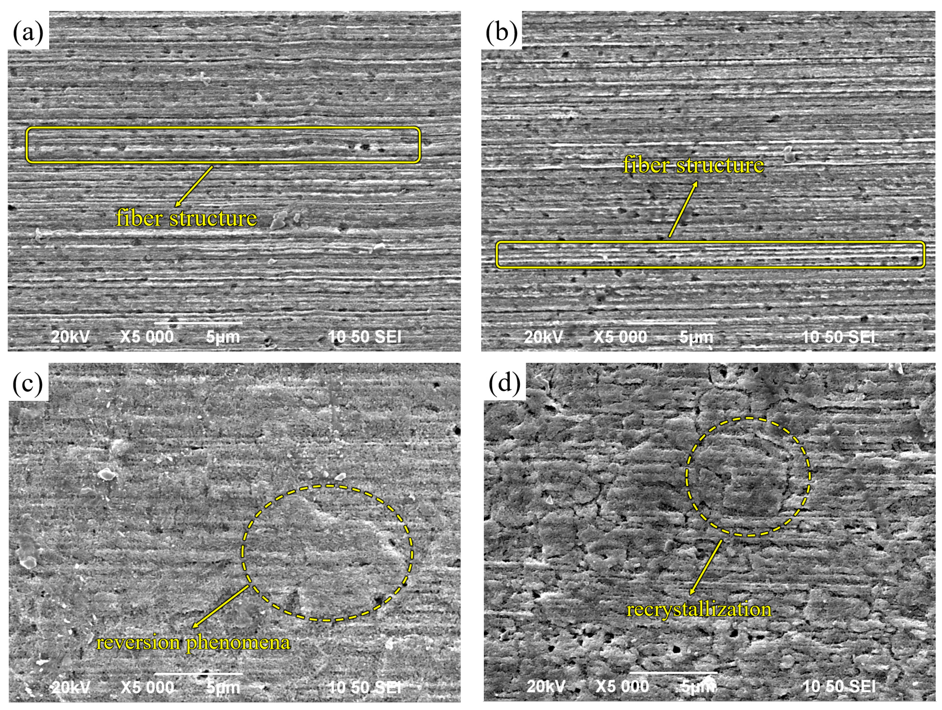 Micromachines 14 01635 g008