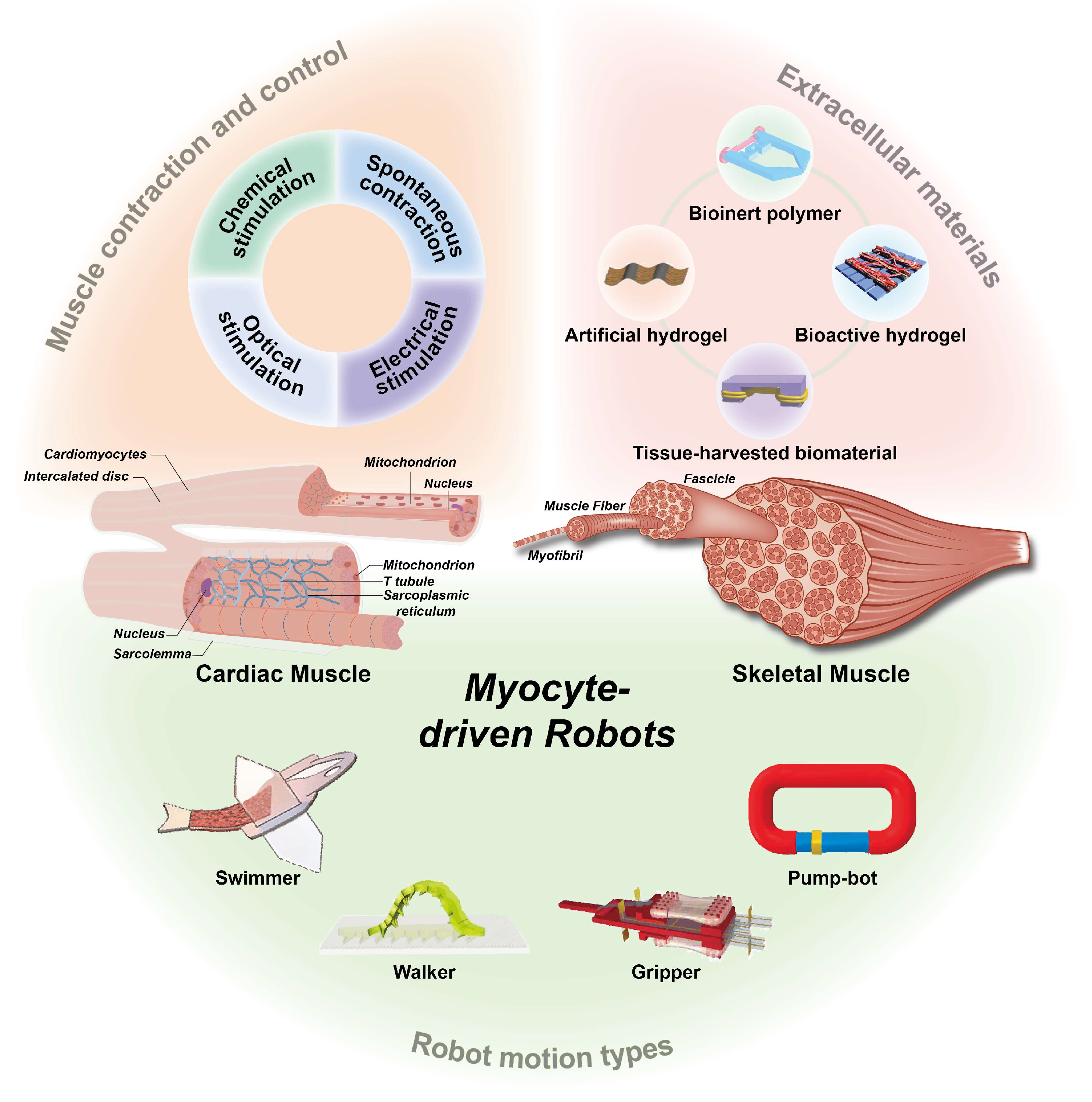 Micromachines 14 01643 g002