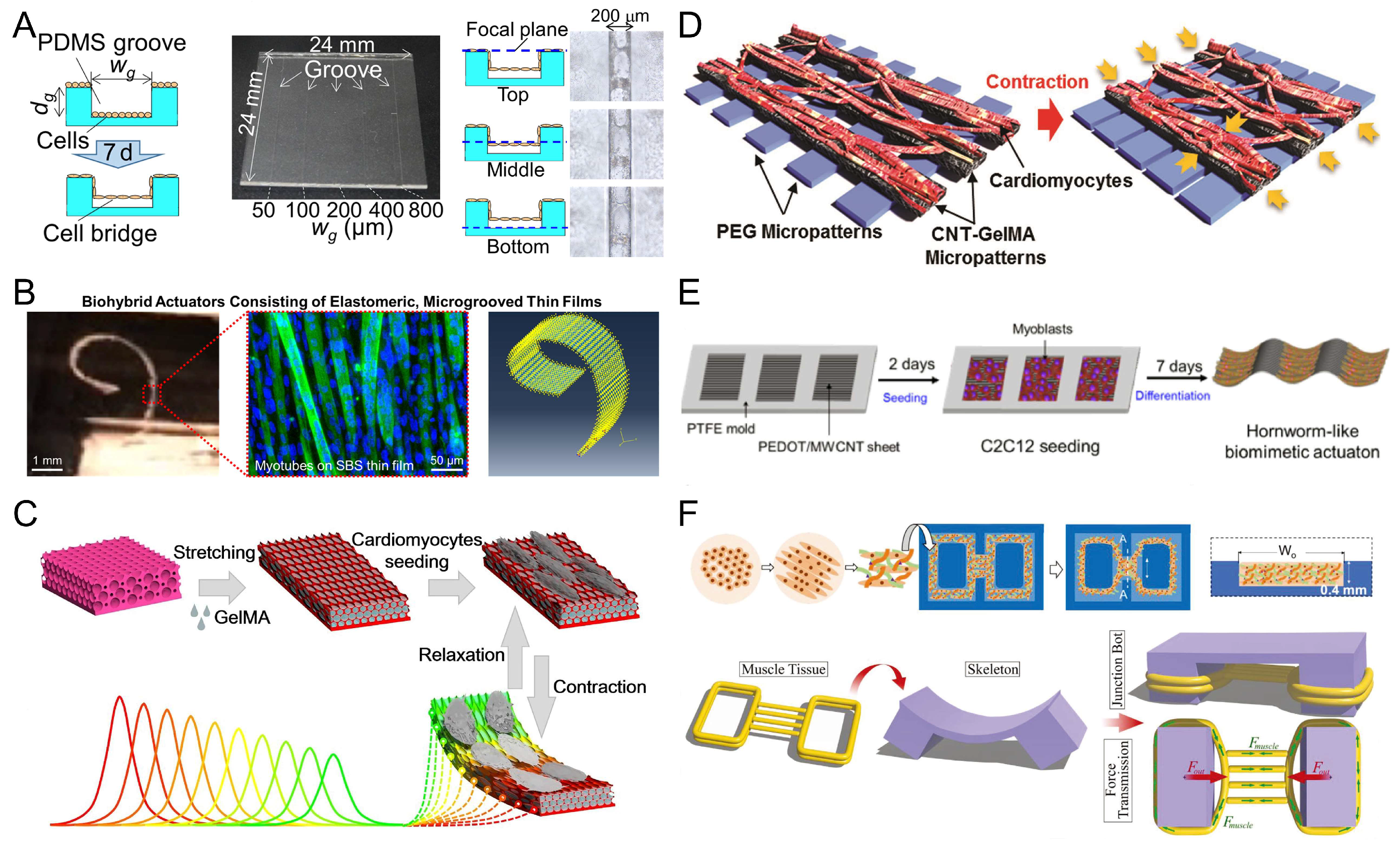 Micromachines 14 01643 g006