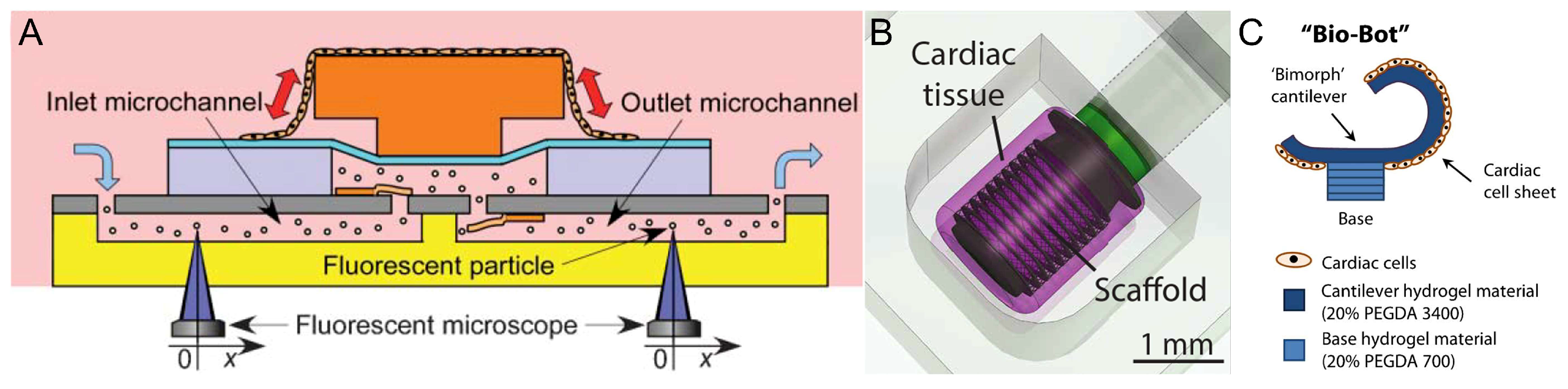 Micromachines 14 01643 g007