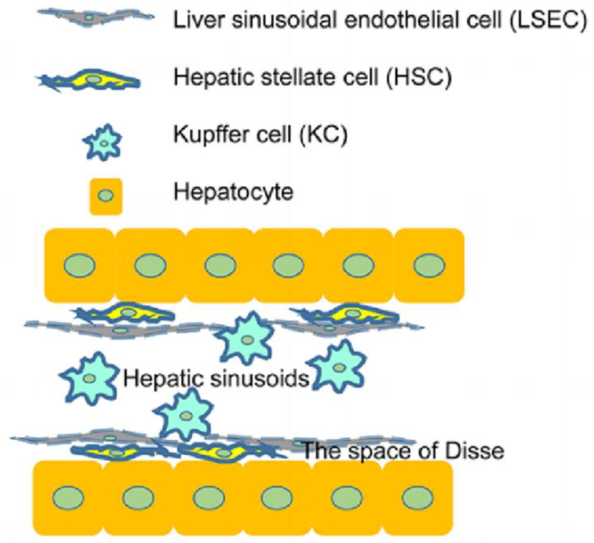 Micromachines 14 01648 g002