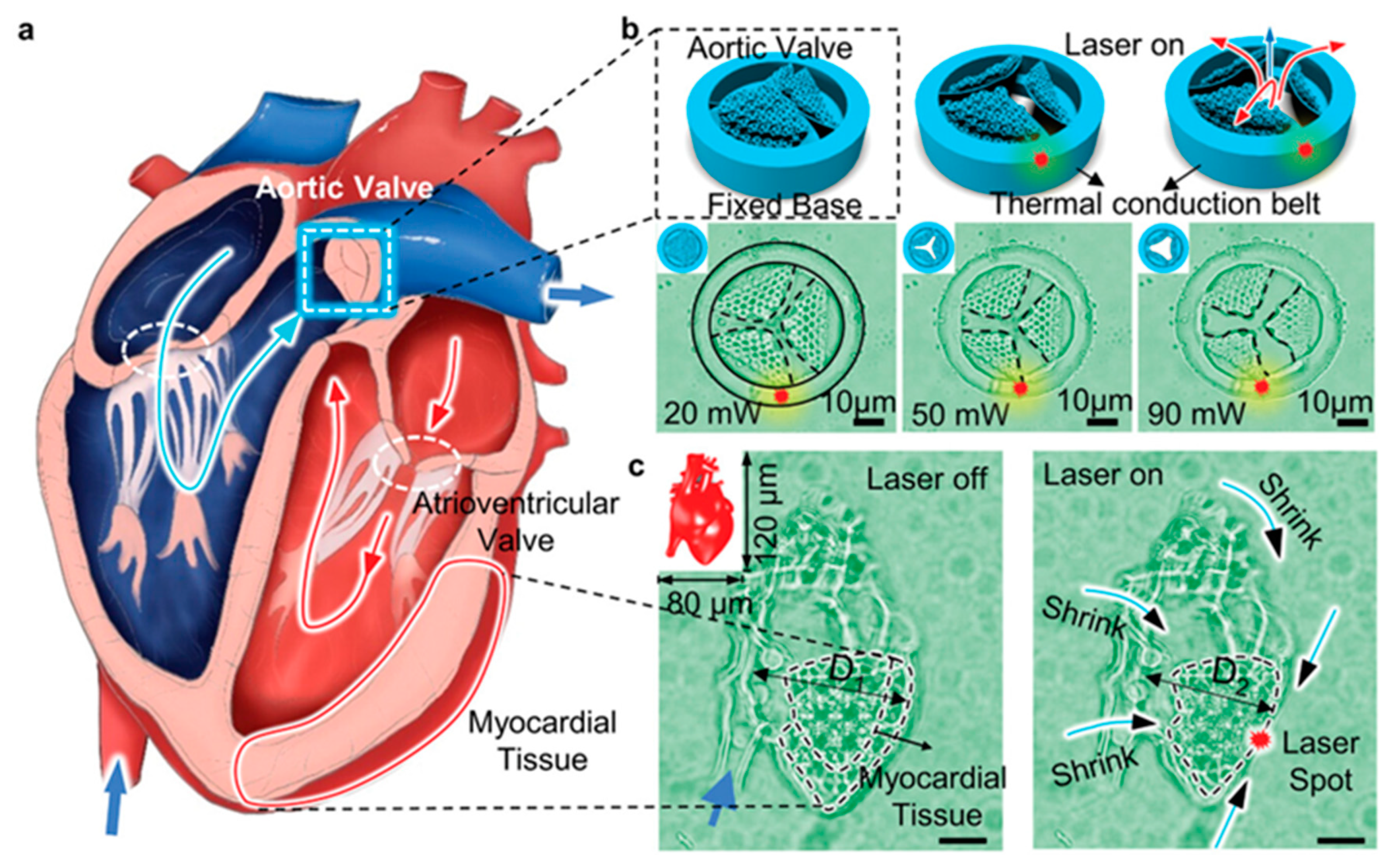 Micromachines 14 01656 g011