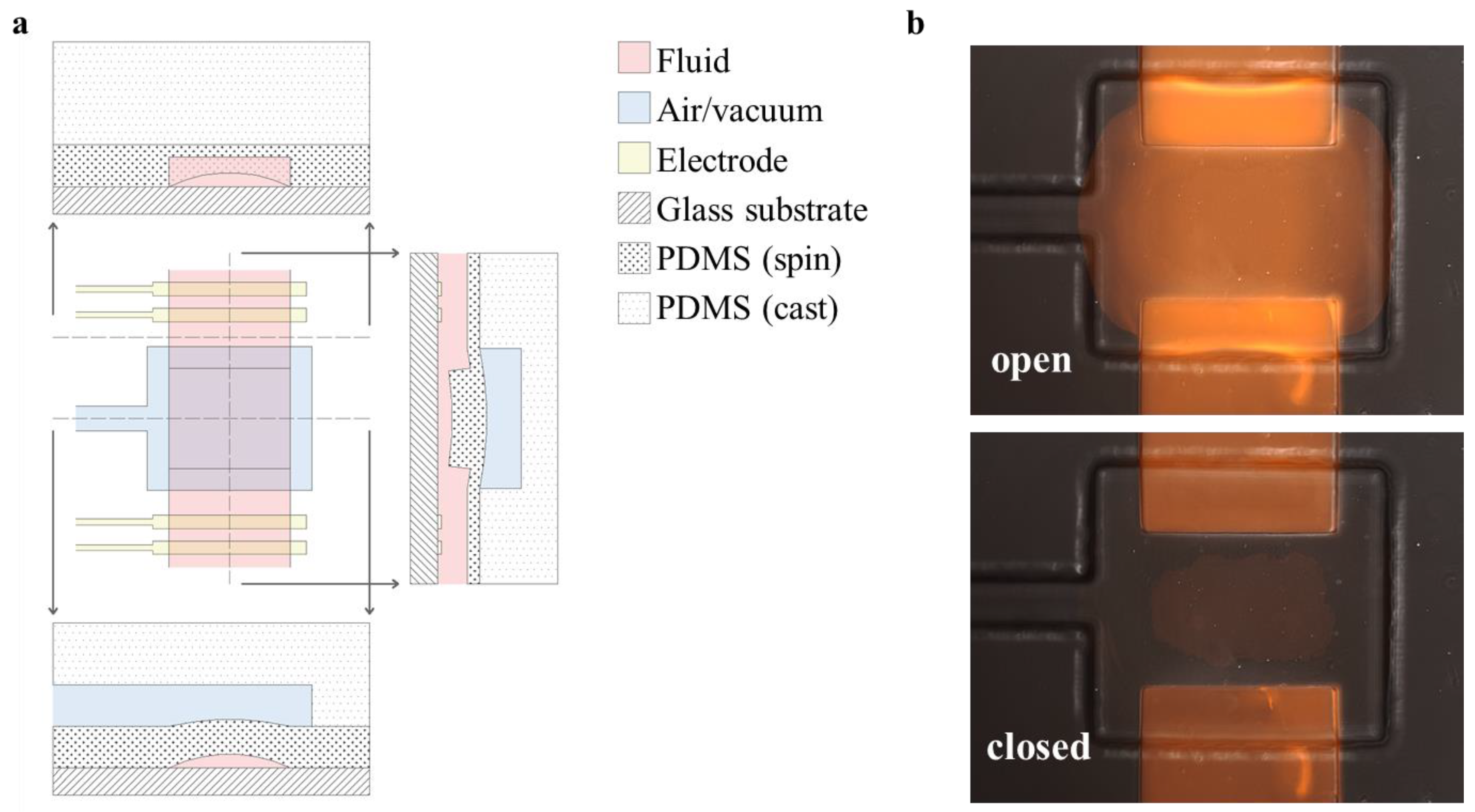 Micromachines 14 01659 g002