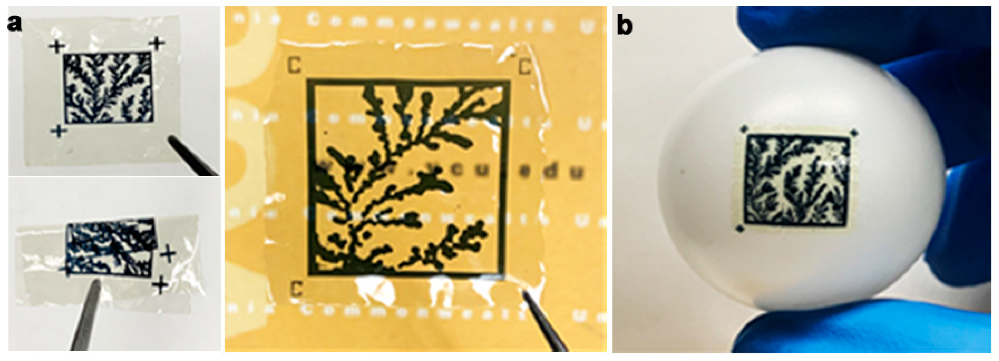 Micromachines 14 01678 g005