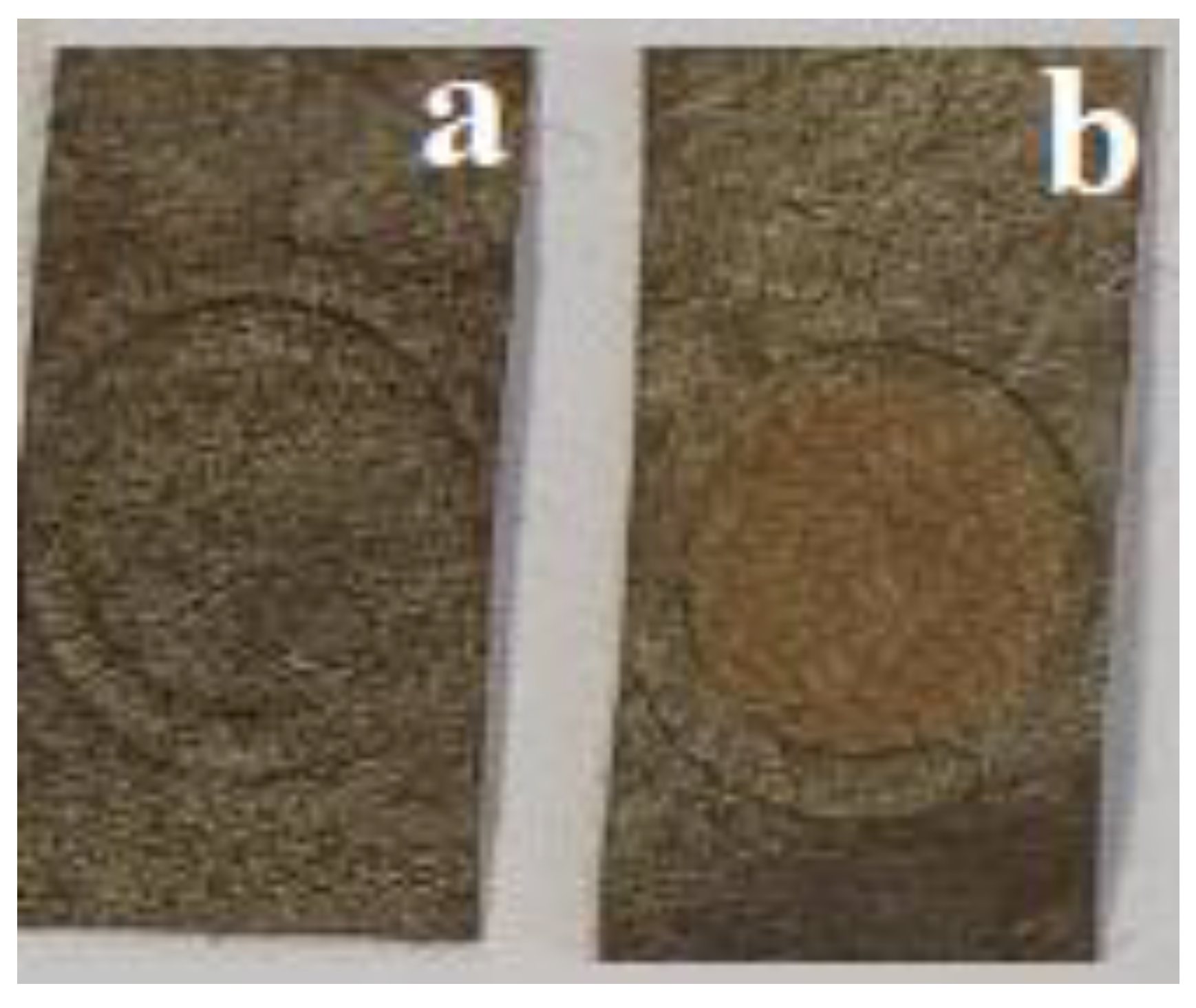 Micromachines 14 01682 g013