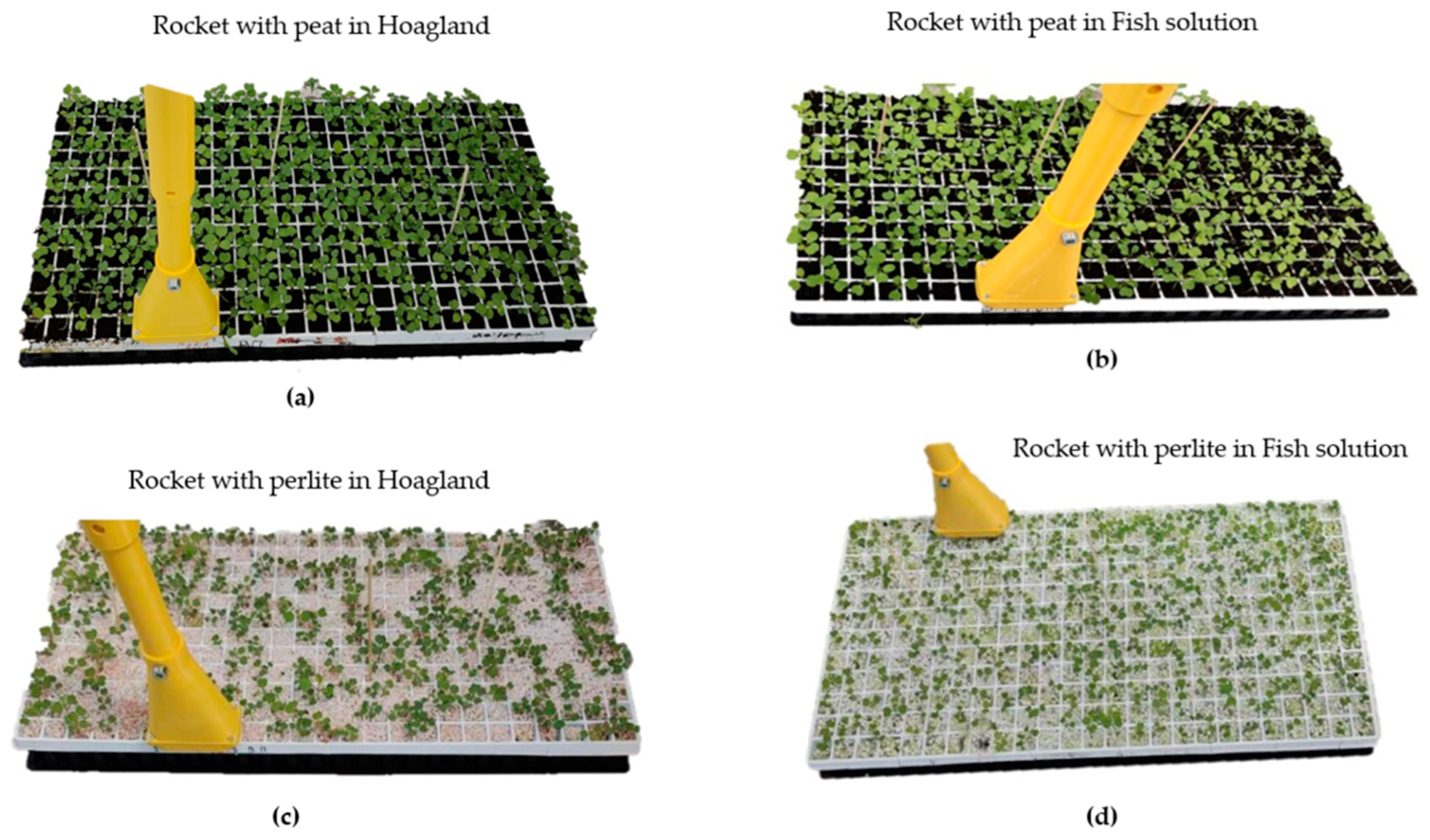 Micromachines 14 01698 g006