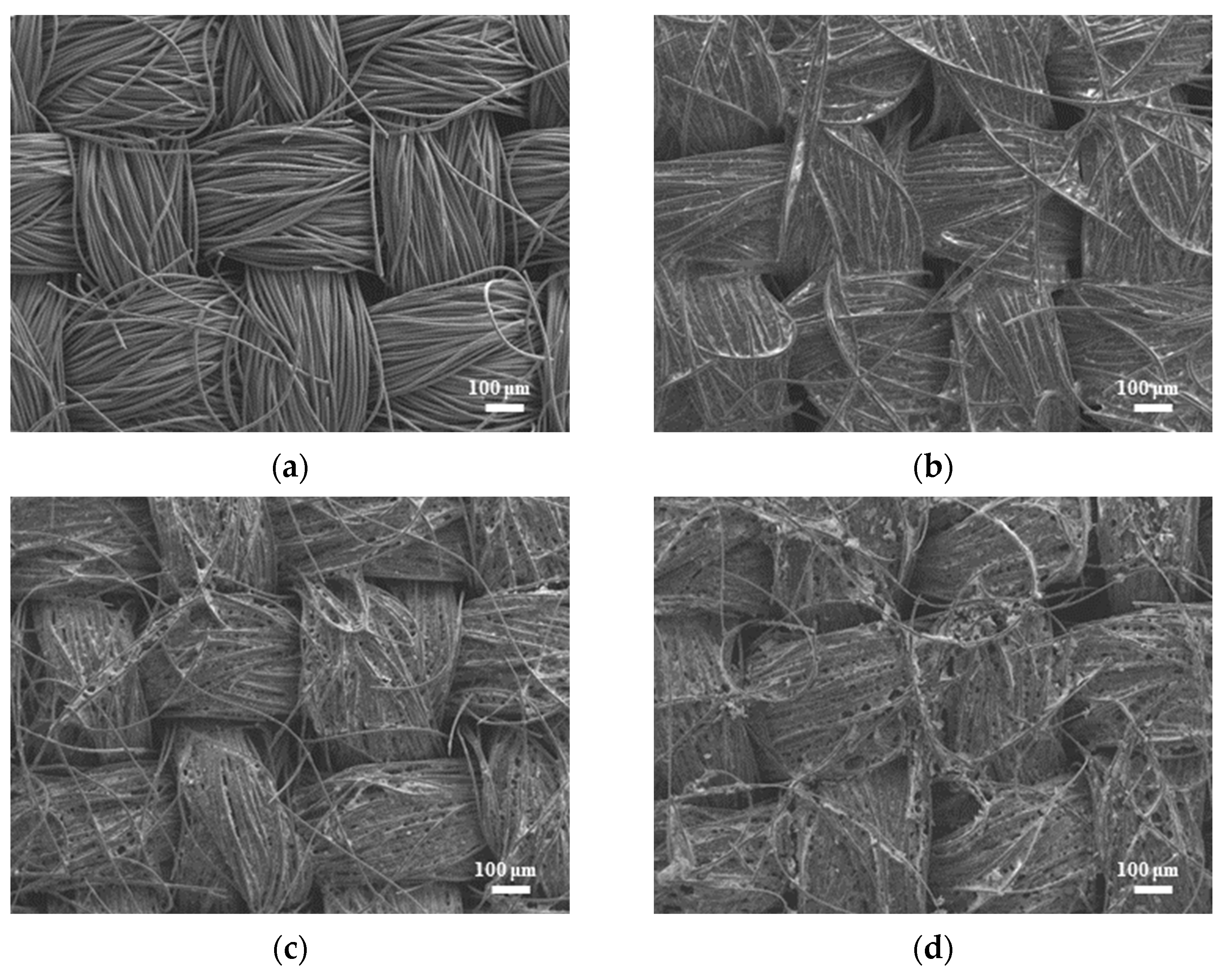 Micromachines 14 01701 g002