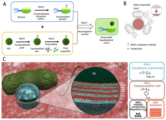 A Review of Single-Cell Microrobots: Classification, Driving