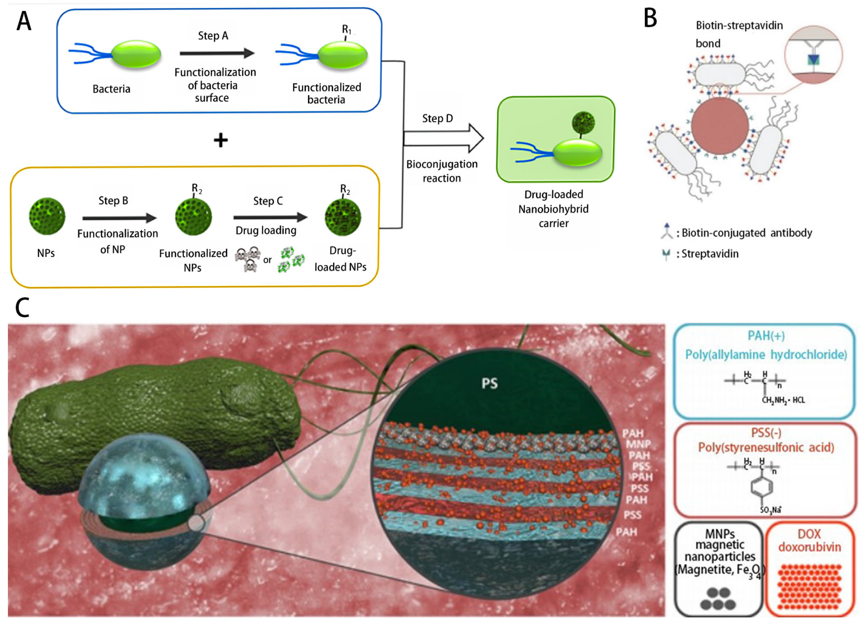 Micromachines 14 01710 g002
