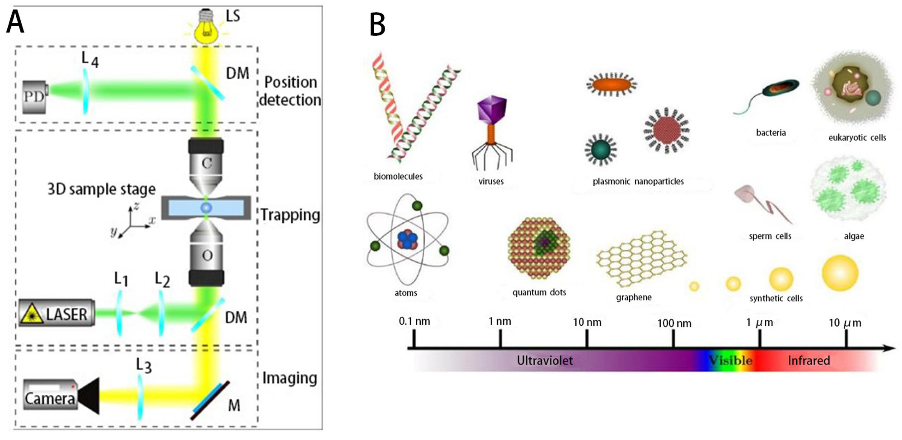 Micromachines 14 01710 g005