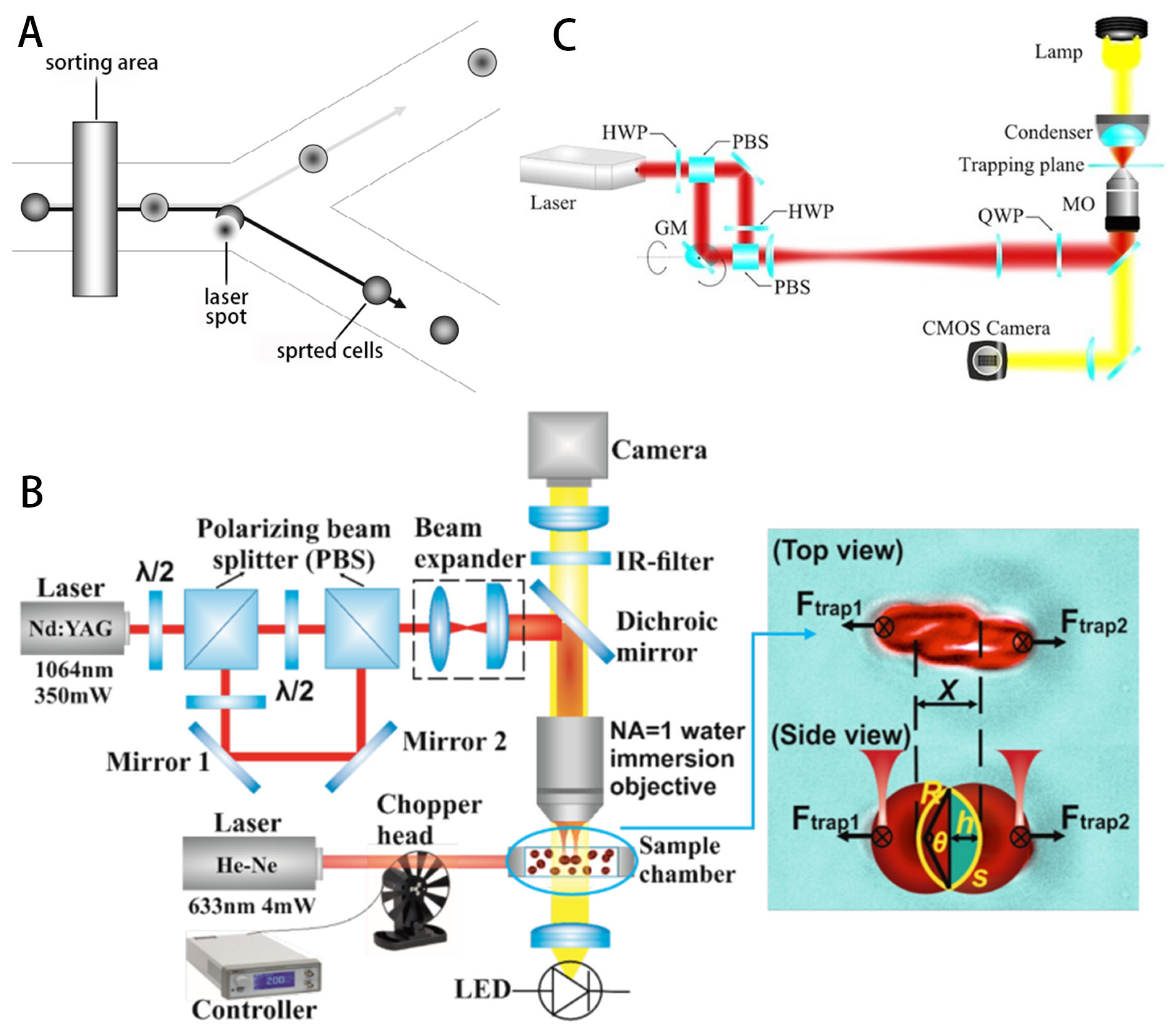 Micromachines 14 01710 g006