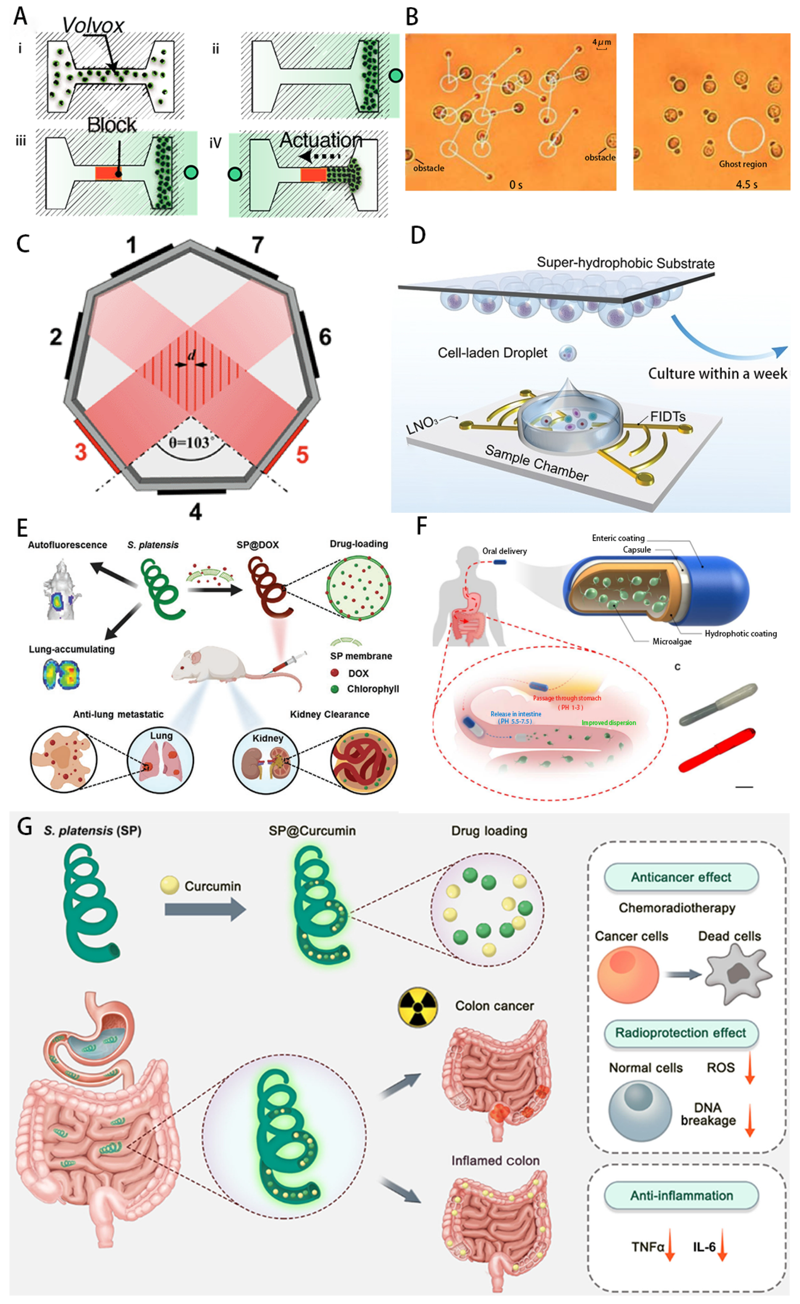 Micromachines 14 01710 g010