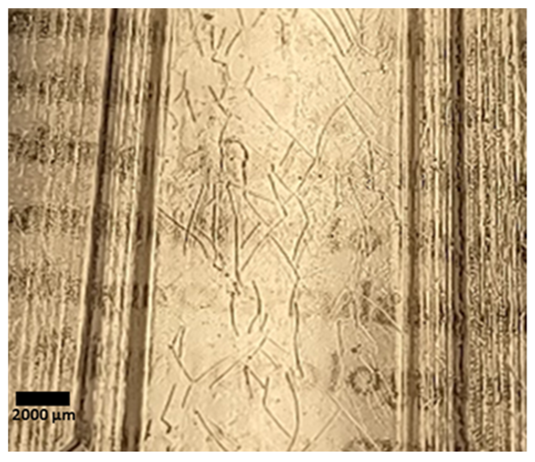 Micromachines 14 01728 g006