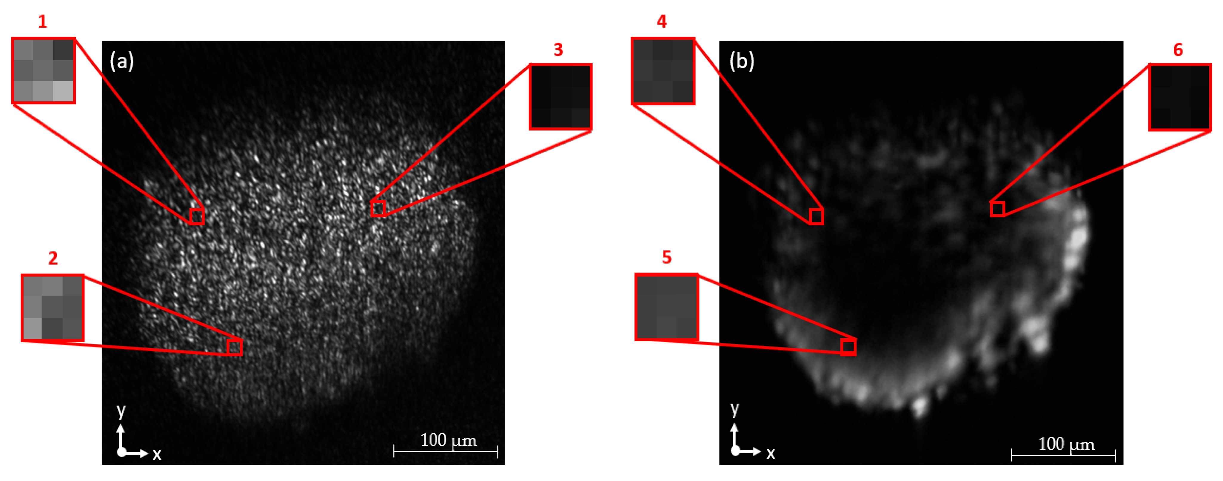Micromachines 14 01739 g010