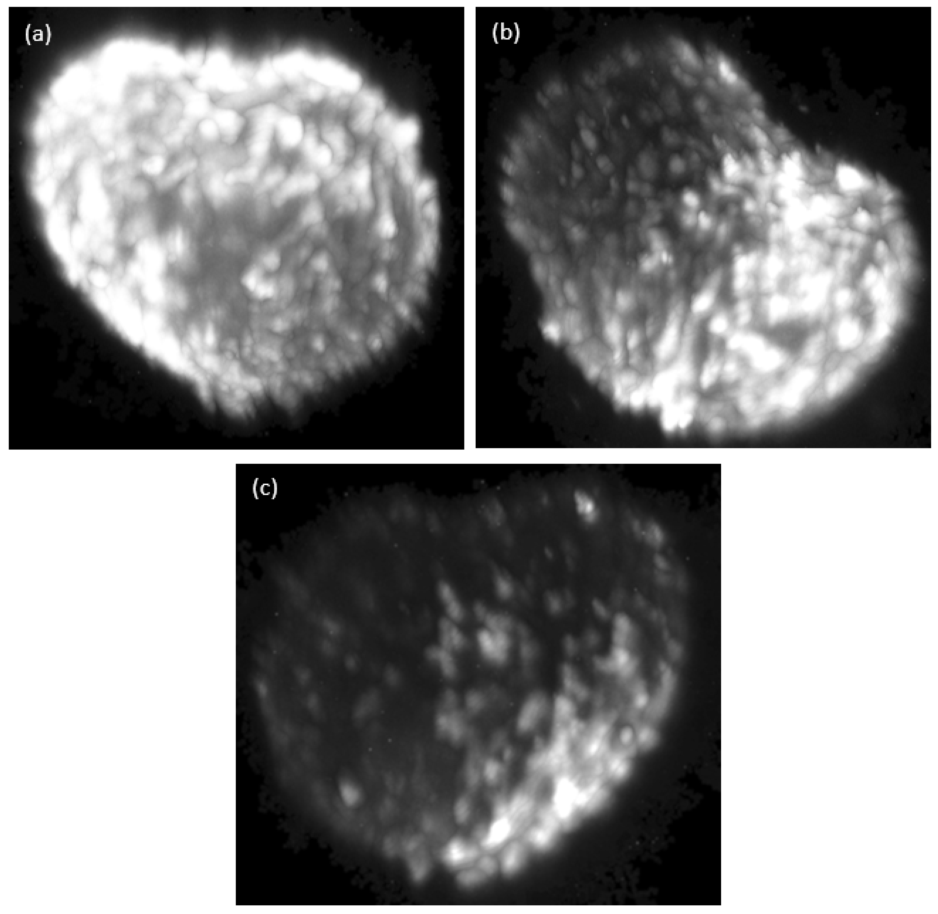Micromachines 14 01739 g015