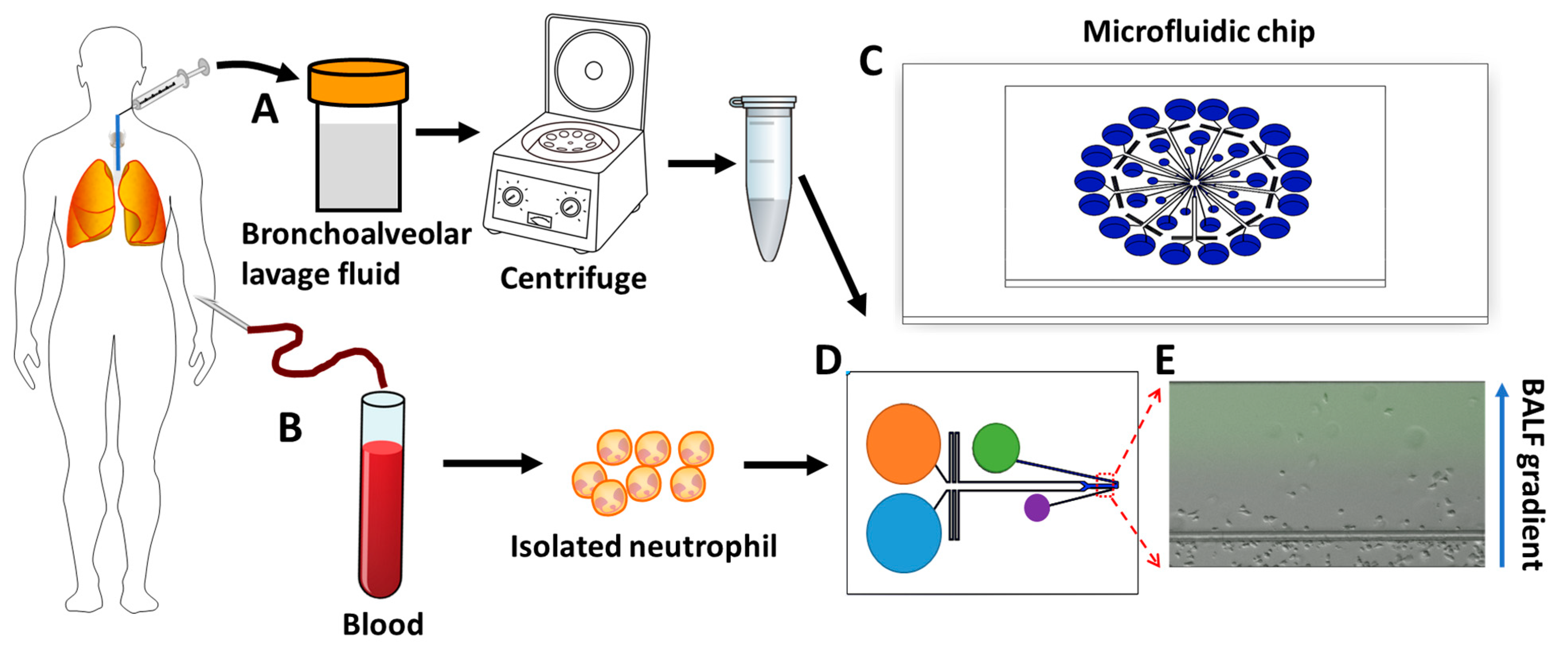 Micromachines 14 01740 g001 Micromachines 14 01740 g001