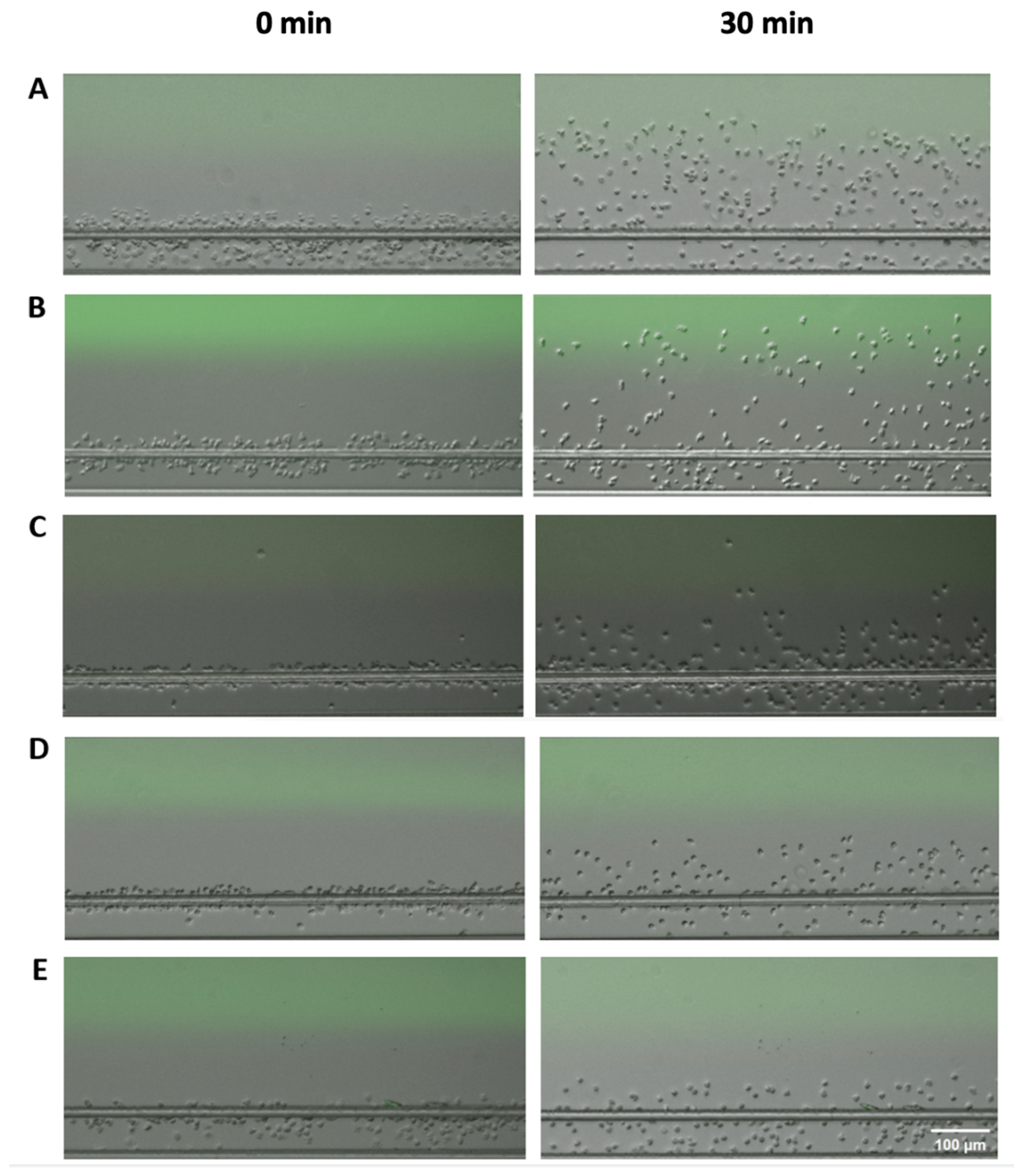 Micromachines 14 01740 g002 Micromachines 14 01740 g002