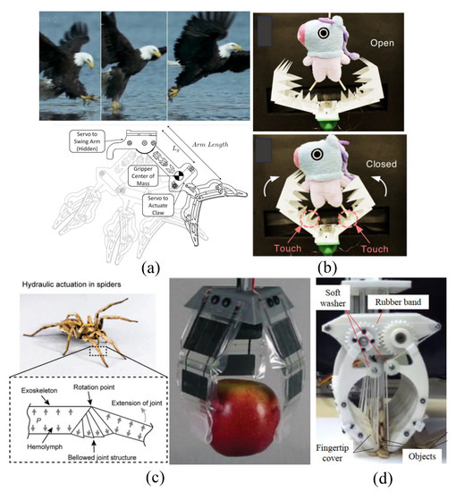 Robotic Gripper Made from Coffee-Filled Balloon Picks Up Anything - IEEE  Spectrum