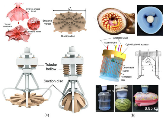 Robotic Gripper Made from Coffee-Filled Balloon Picks Up Anything - IEEE  Spectrum