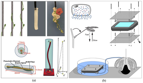 Robotic Gripper Made from Coffee-Filled Balloon Picks Up Anything - IEEE  Spectrum