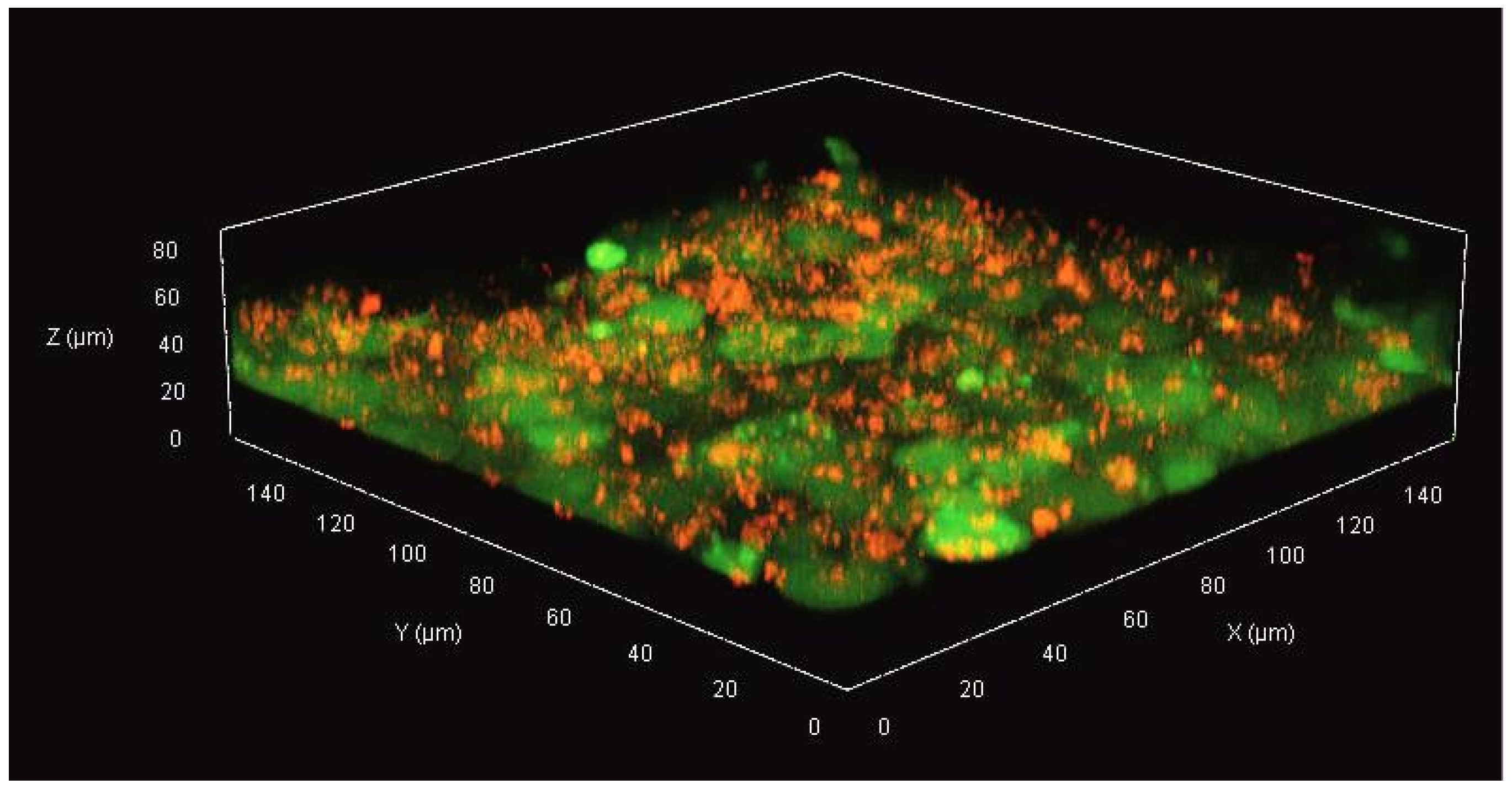 Micromachines 14 01806 g003
