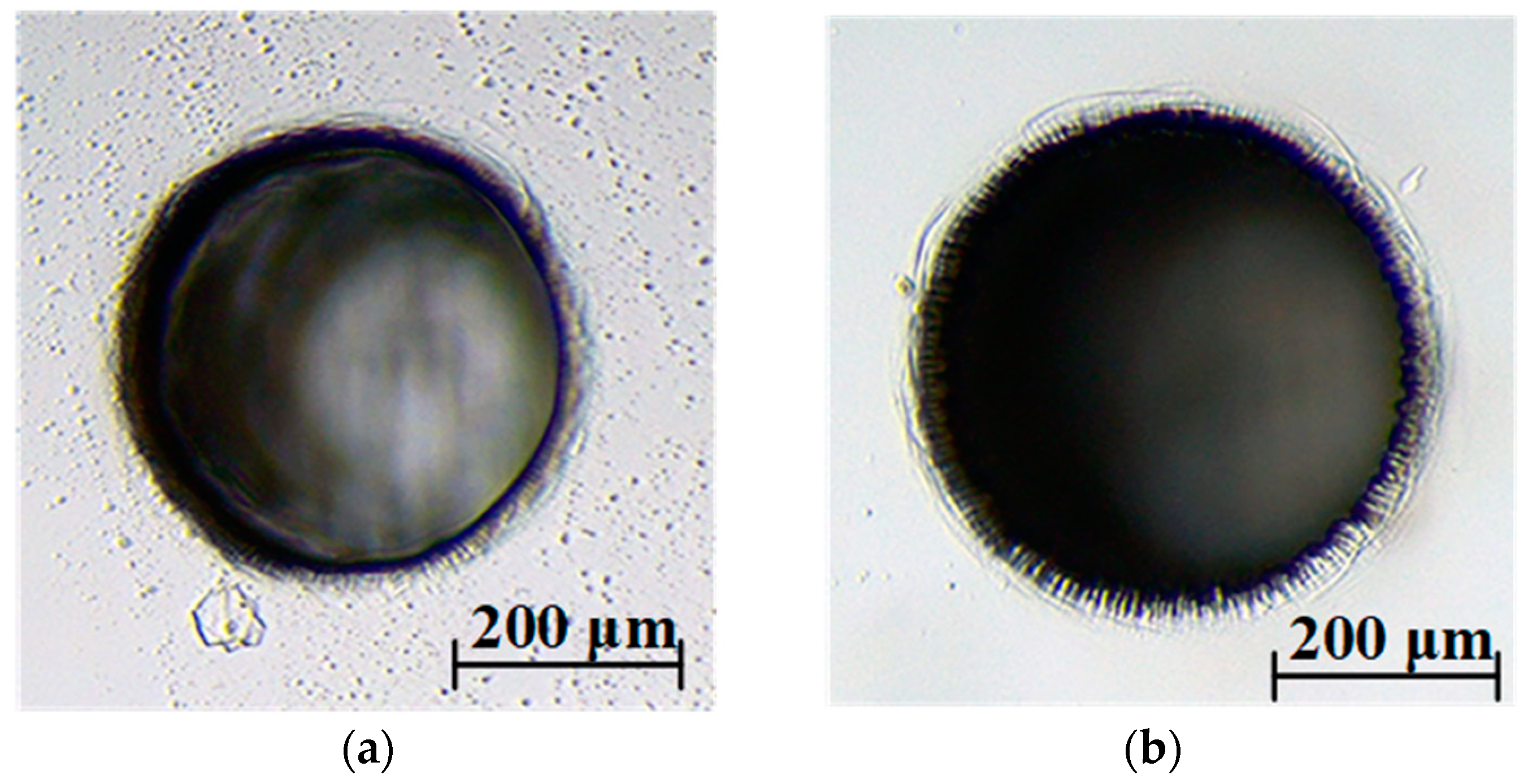 Micromachines 14 01810 g005