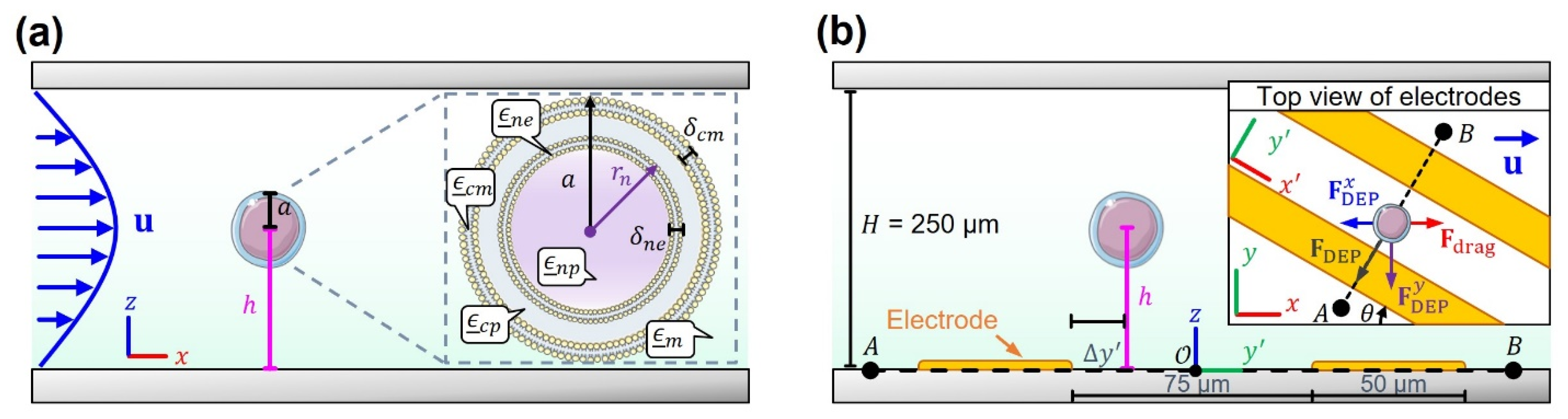 Micromachines 14 01813 g002