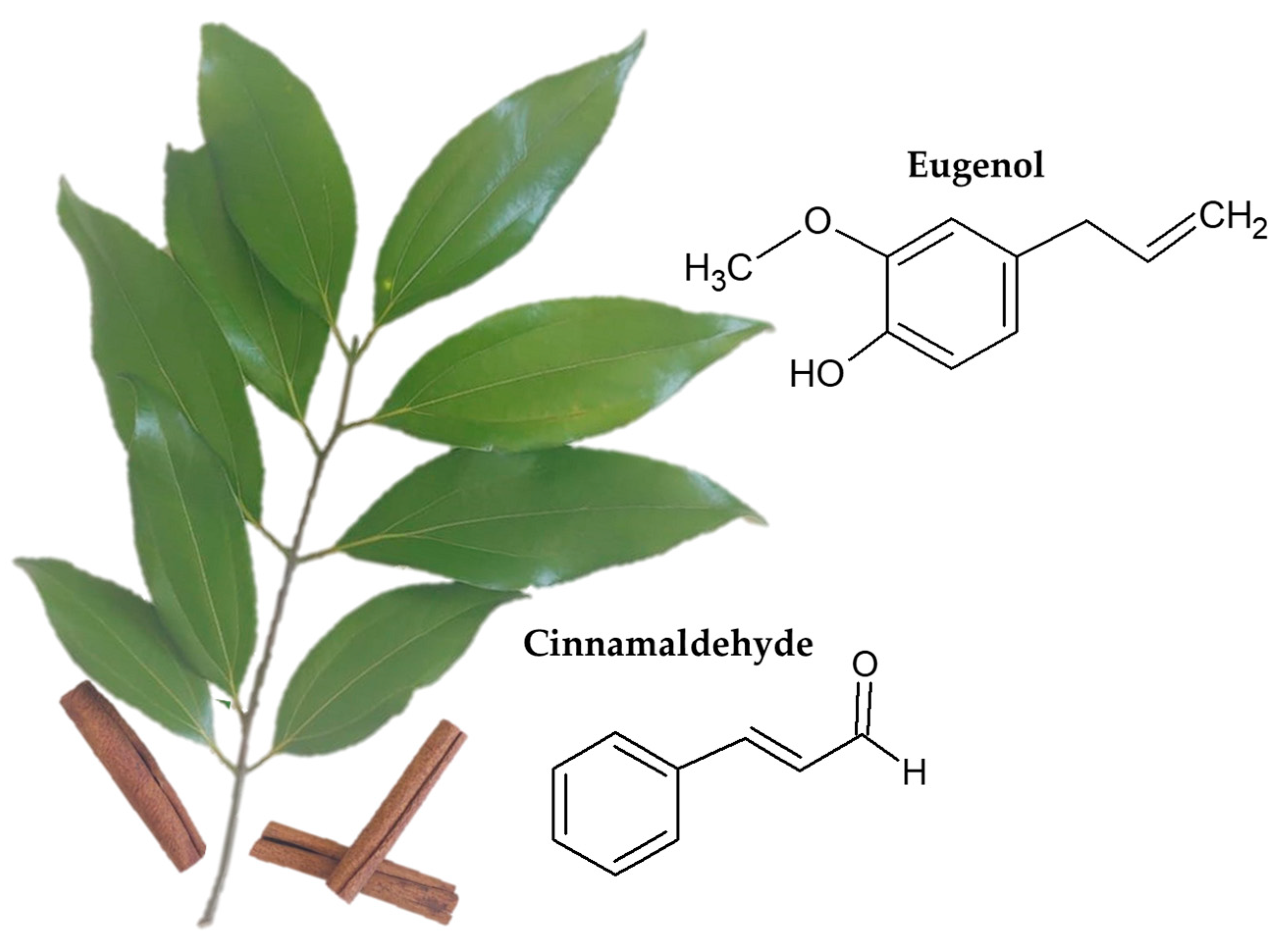 Micromachines 14 01819 g002