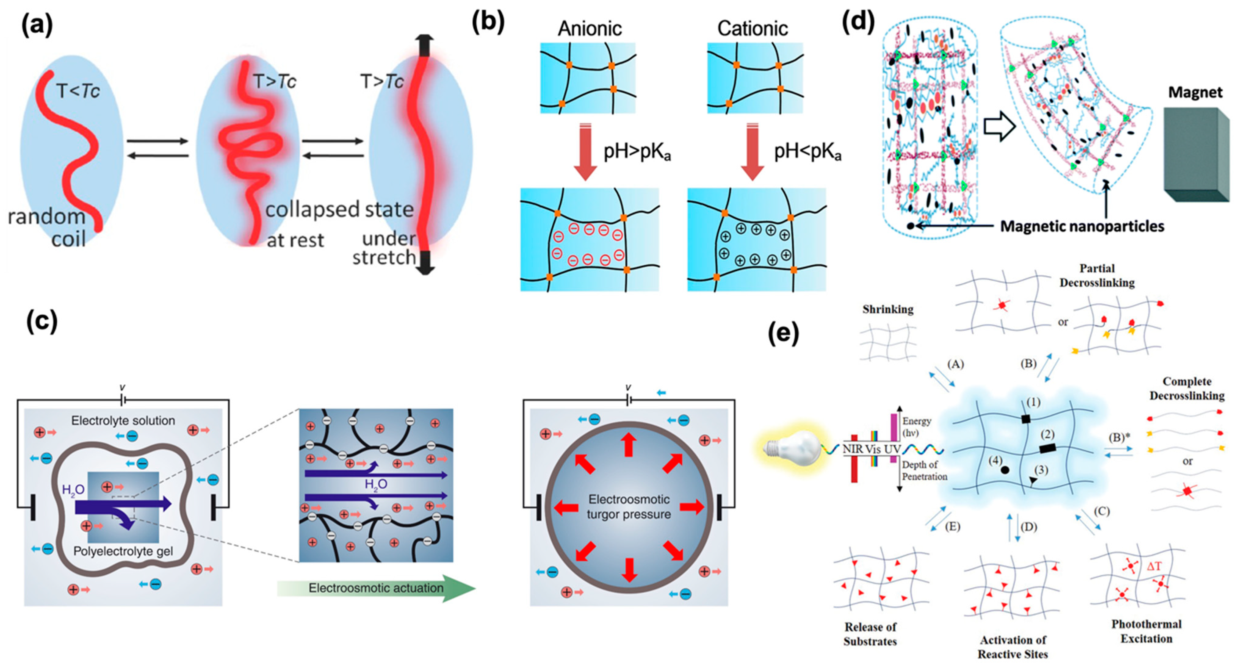 Micromachines 14 01824 g001