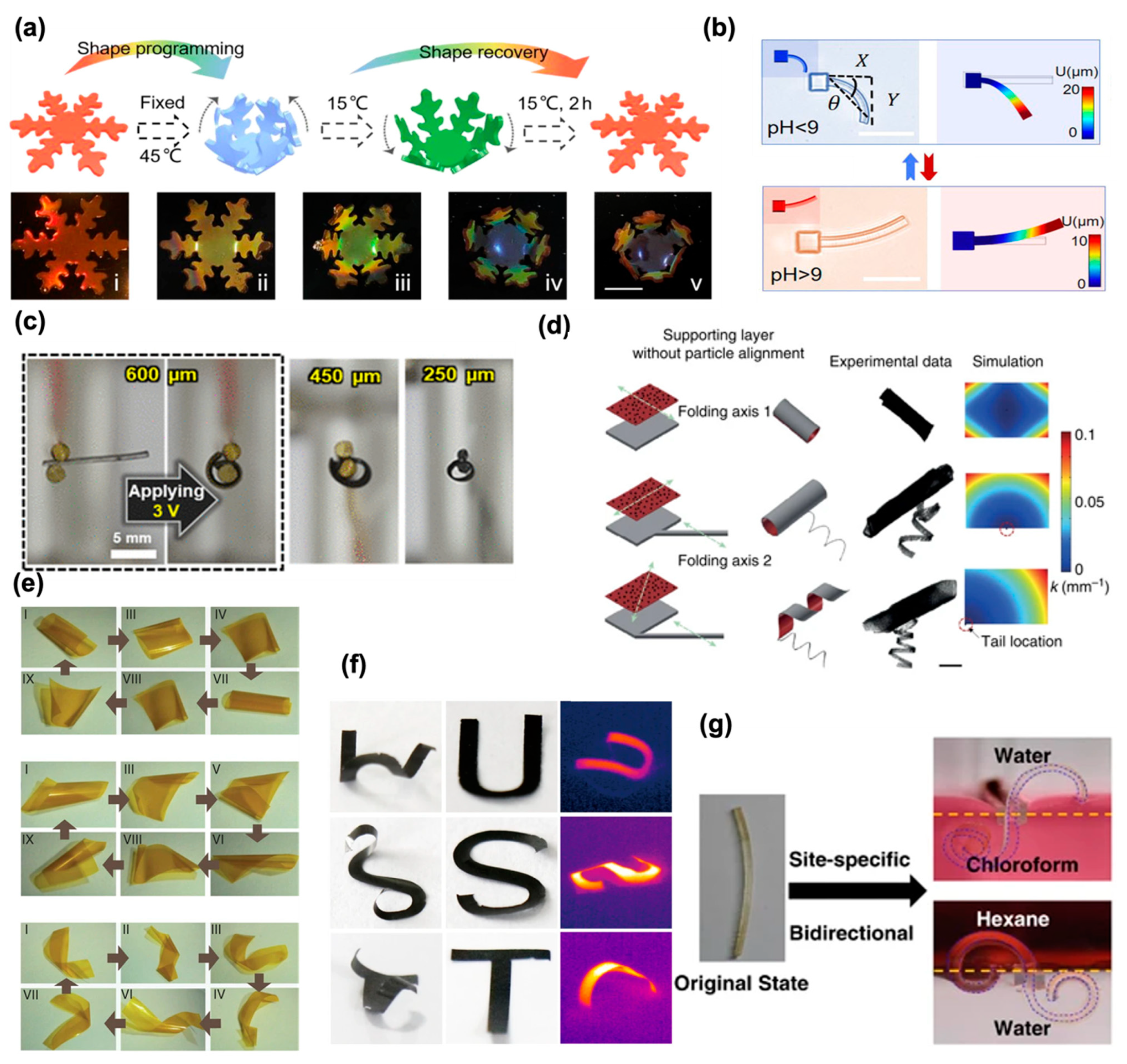 Micromachines 14 01824 g002