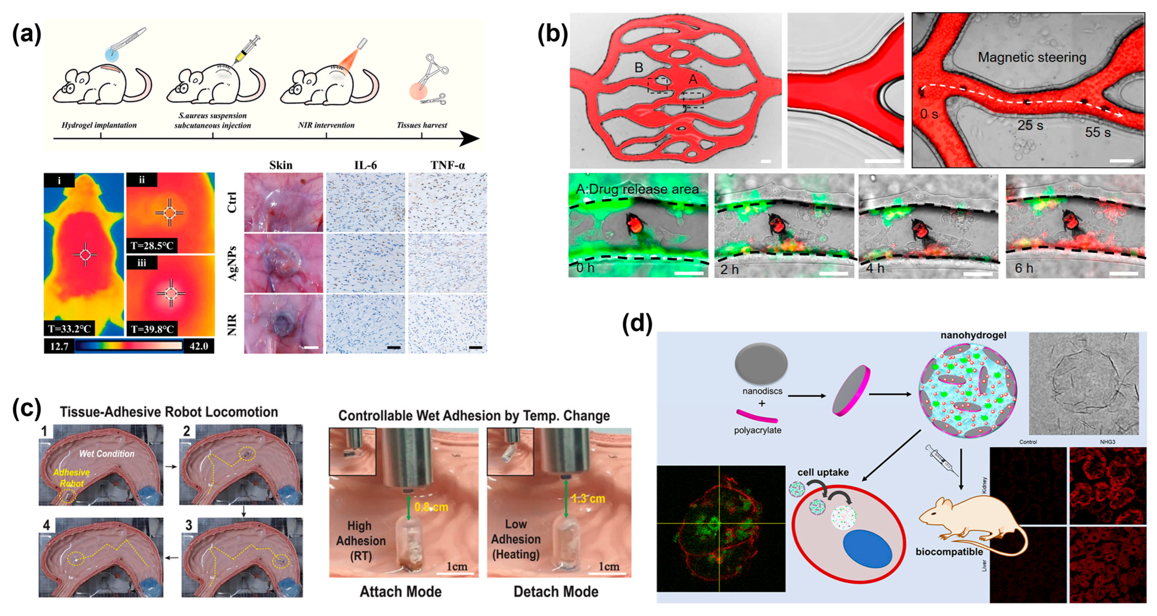 Micromachines 14 01824 g005