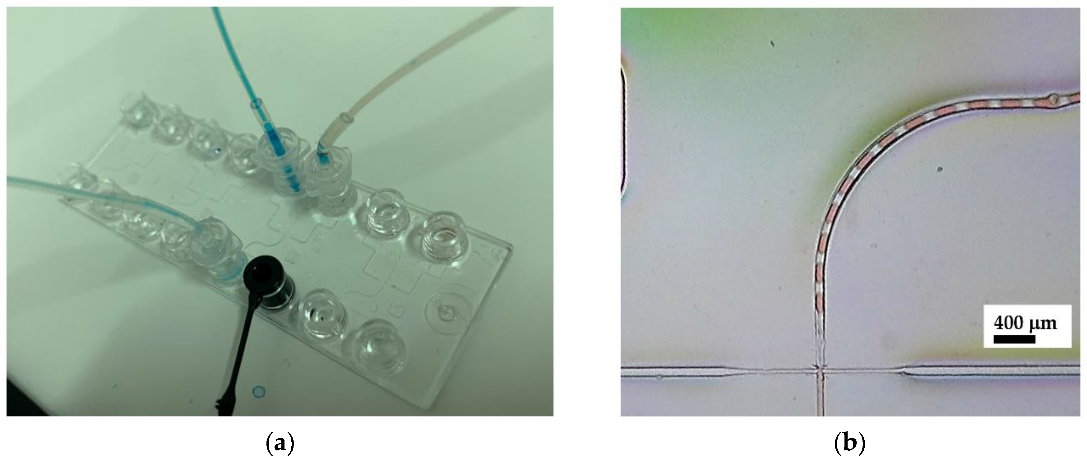 Micromachines 14 01828 g002