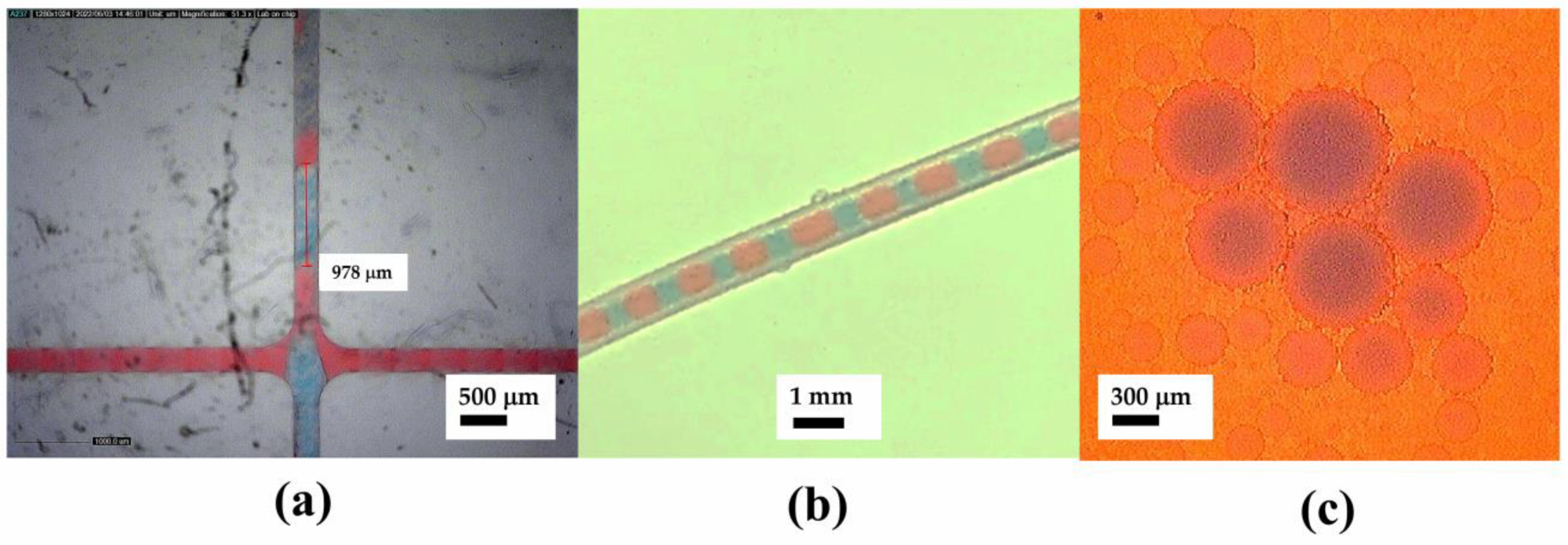 Micromachines 14 01828 g010