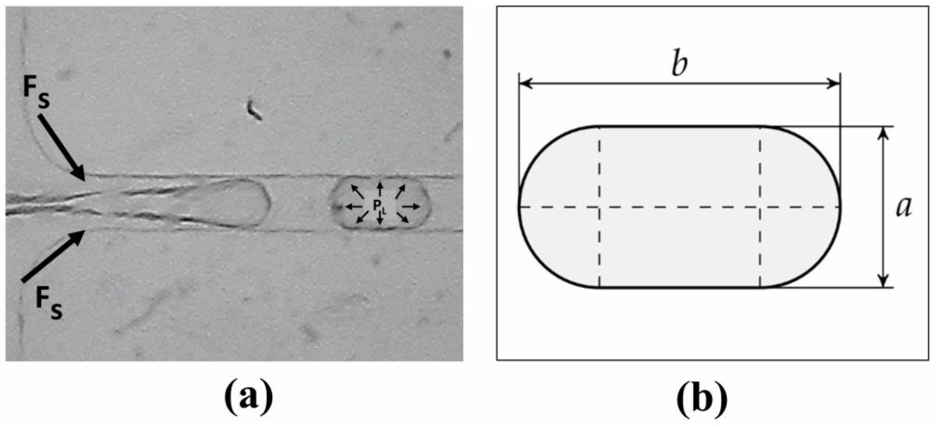 Micromachines 14 01828 g011