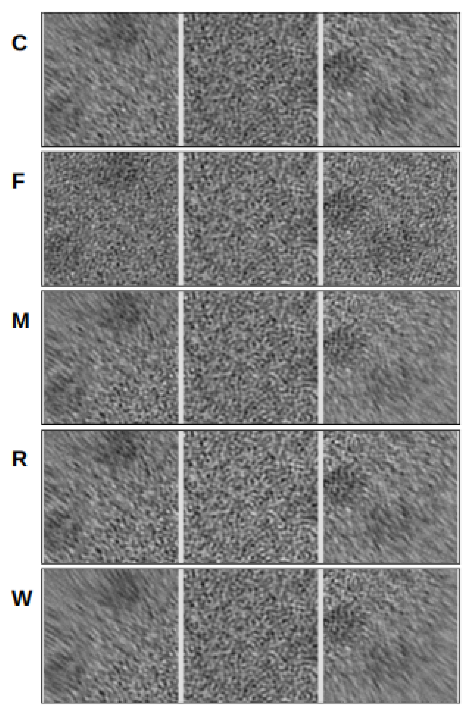 Micromachines 14 01835 g005
