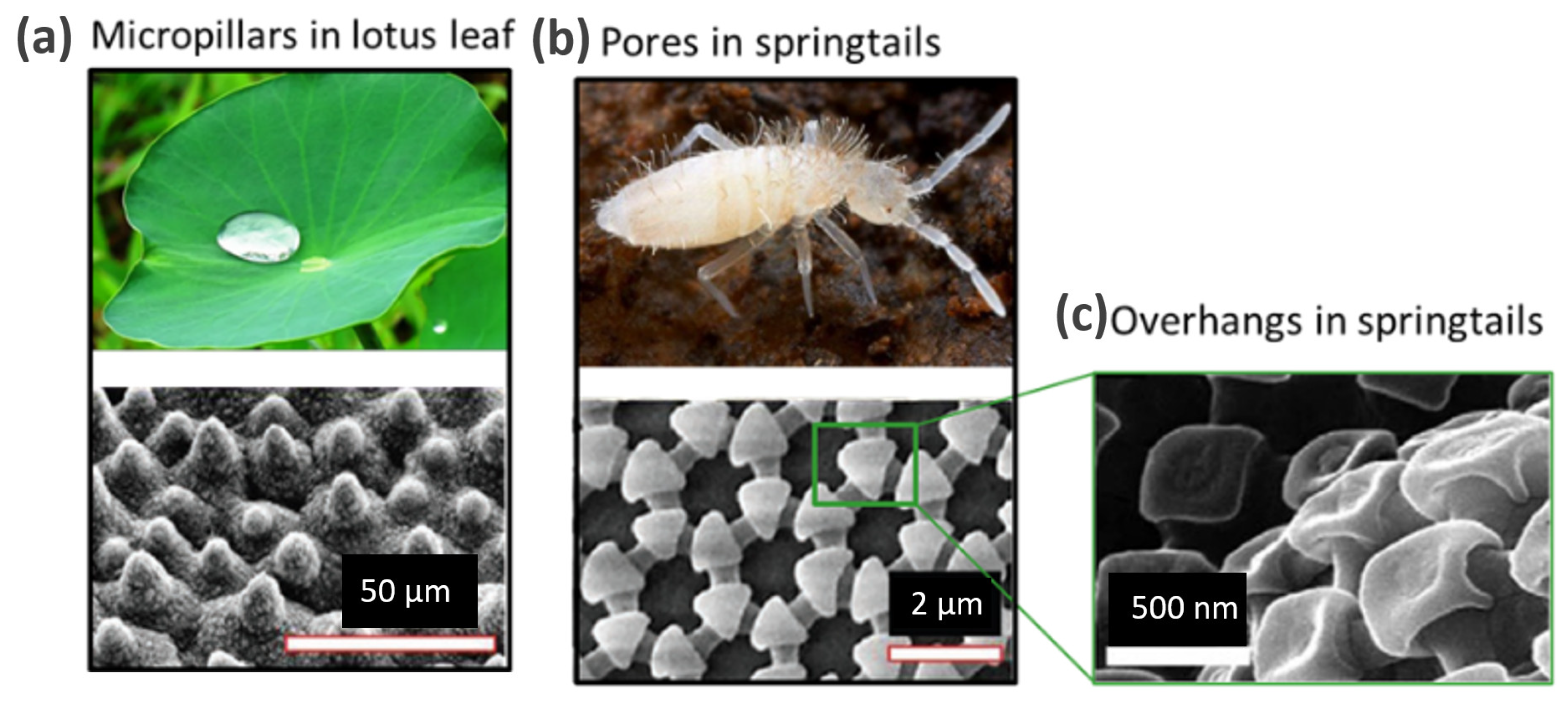 Micromachines 14 01846 g001