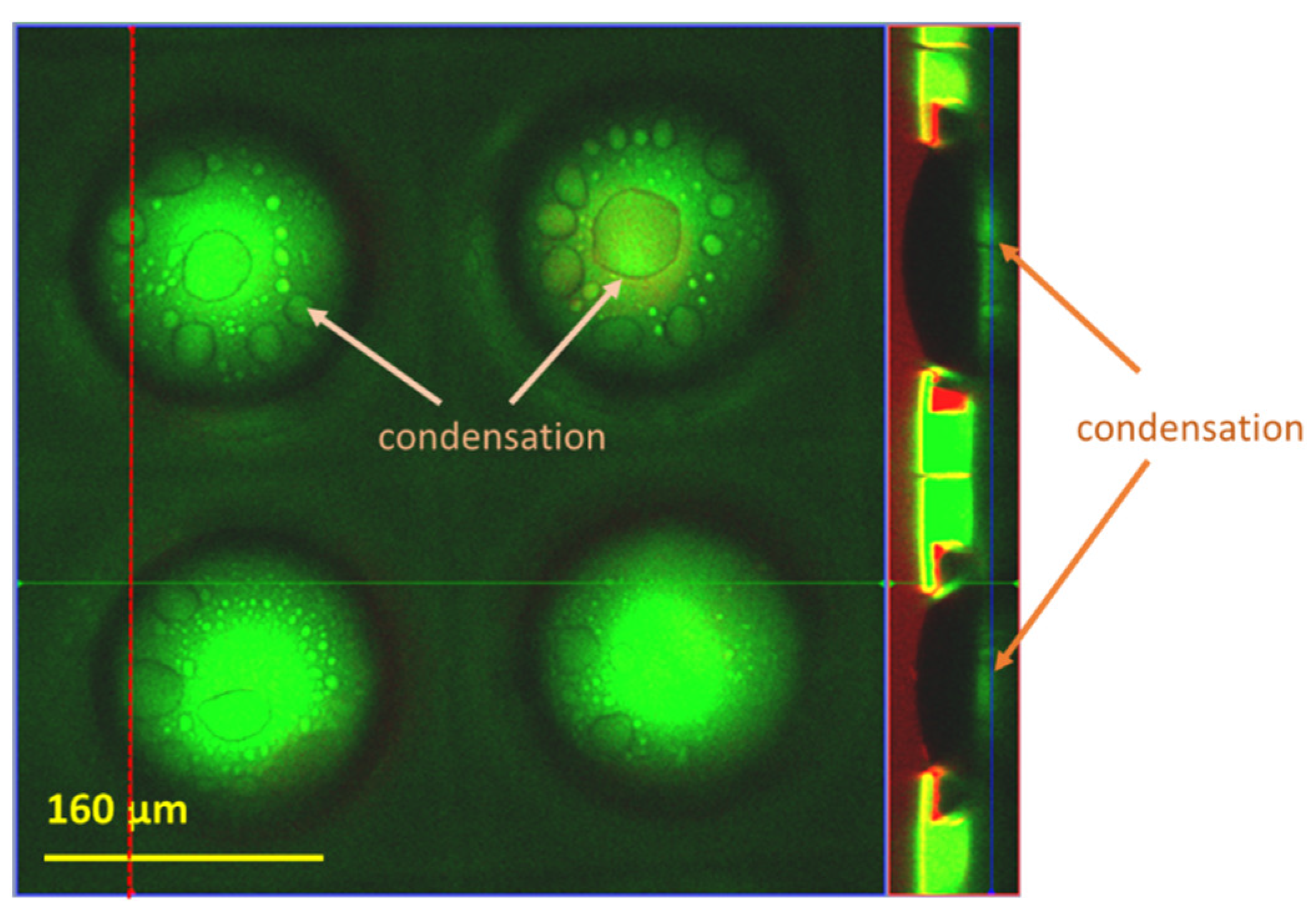 Micromachines 14 01846 g009